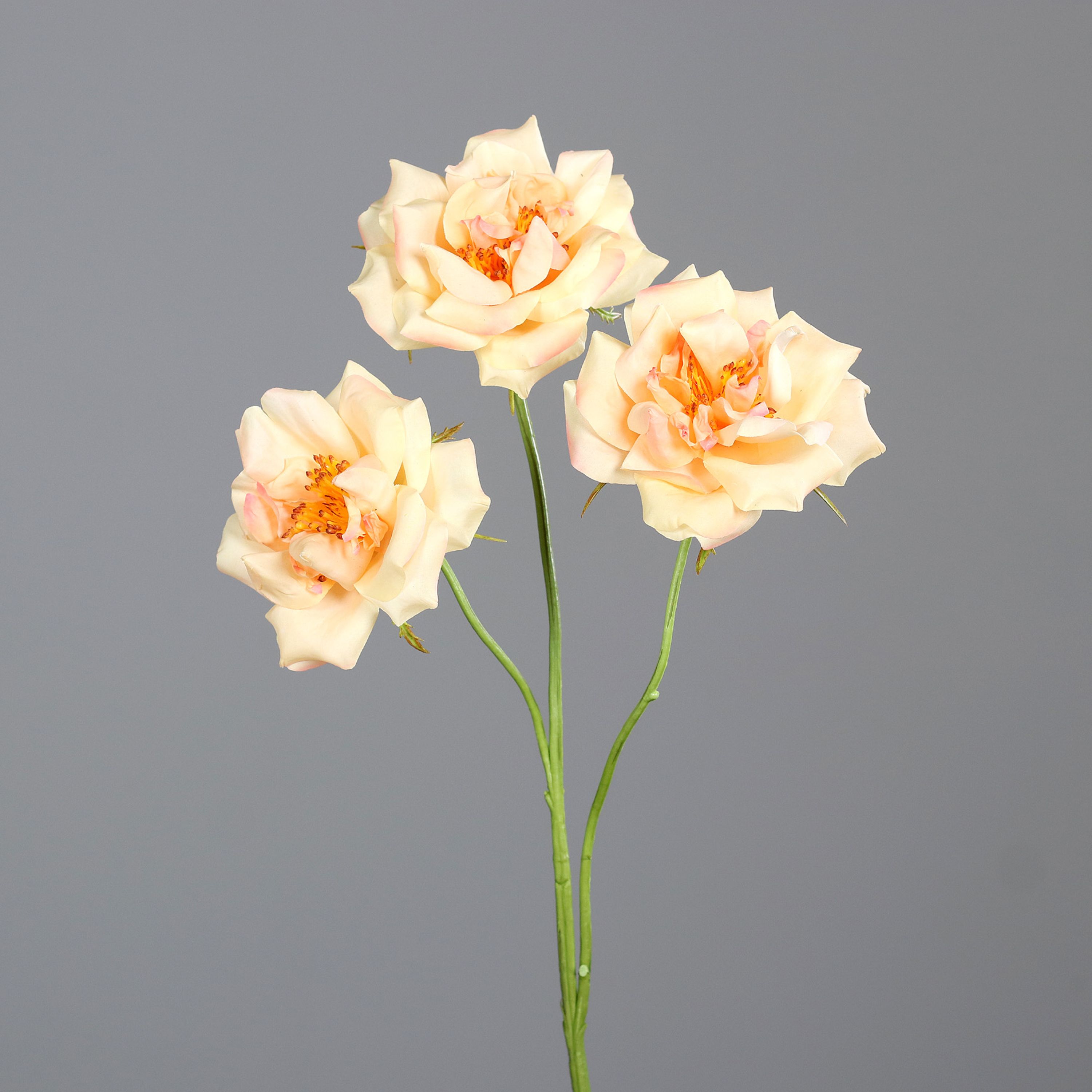 Kunstblume Rosenzweig