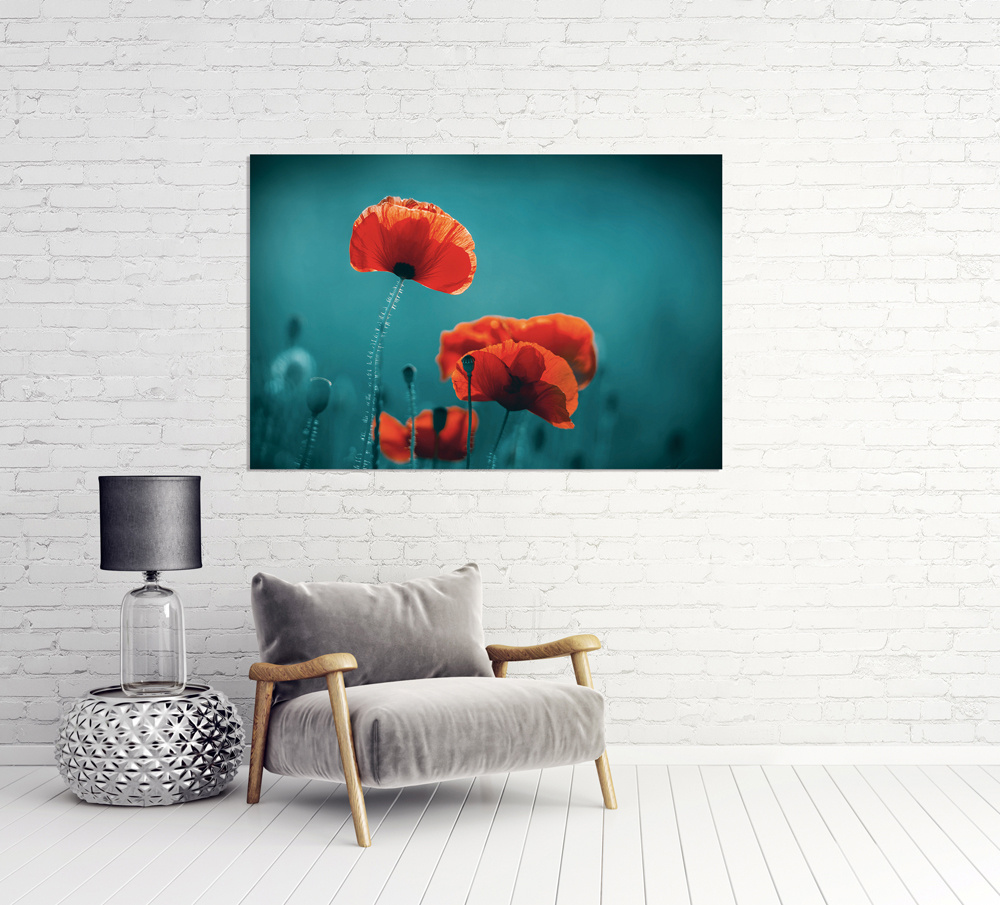 Akustikbild MOHNBLUMEN 5