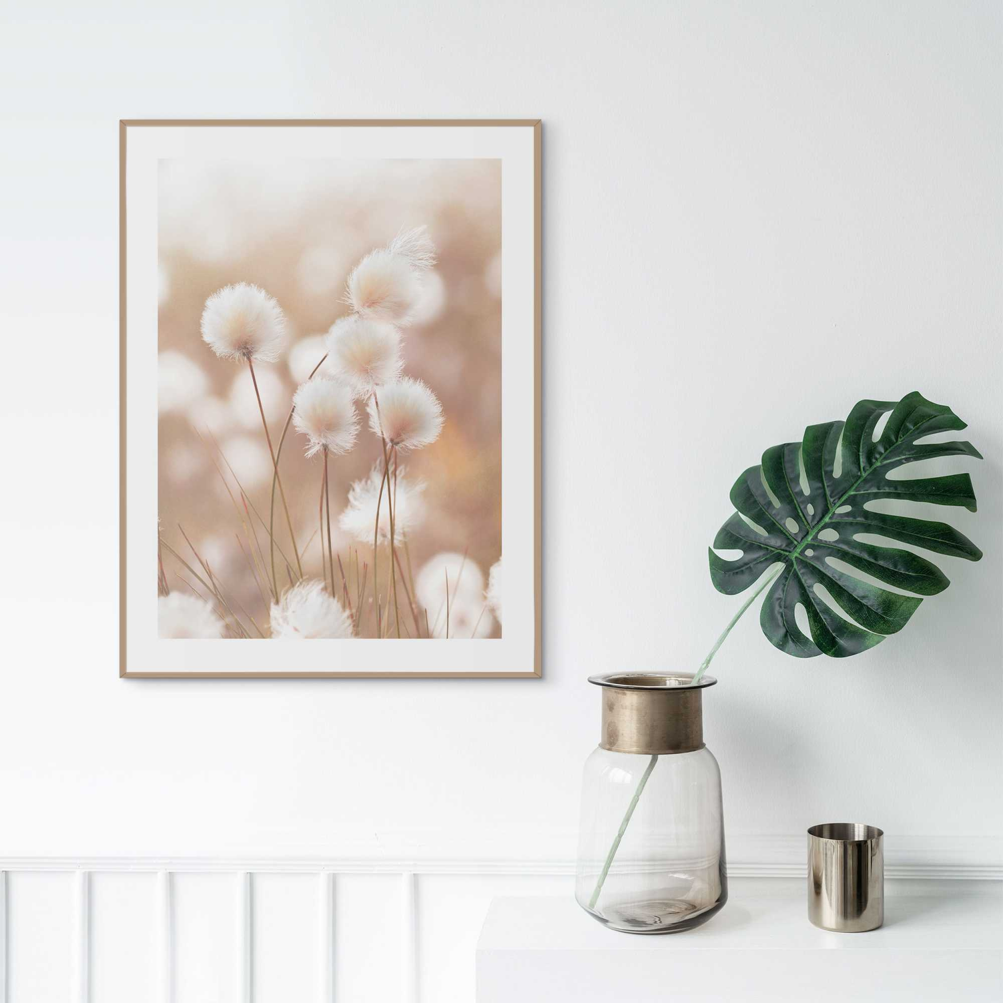 Bild COTTON POPS