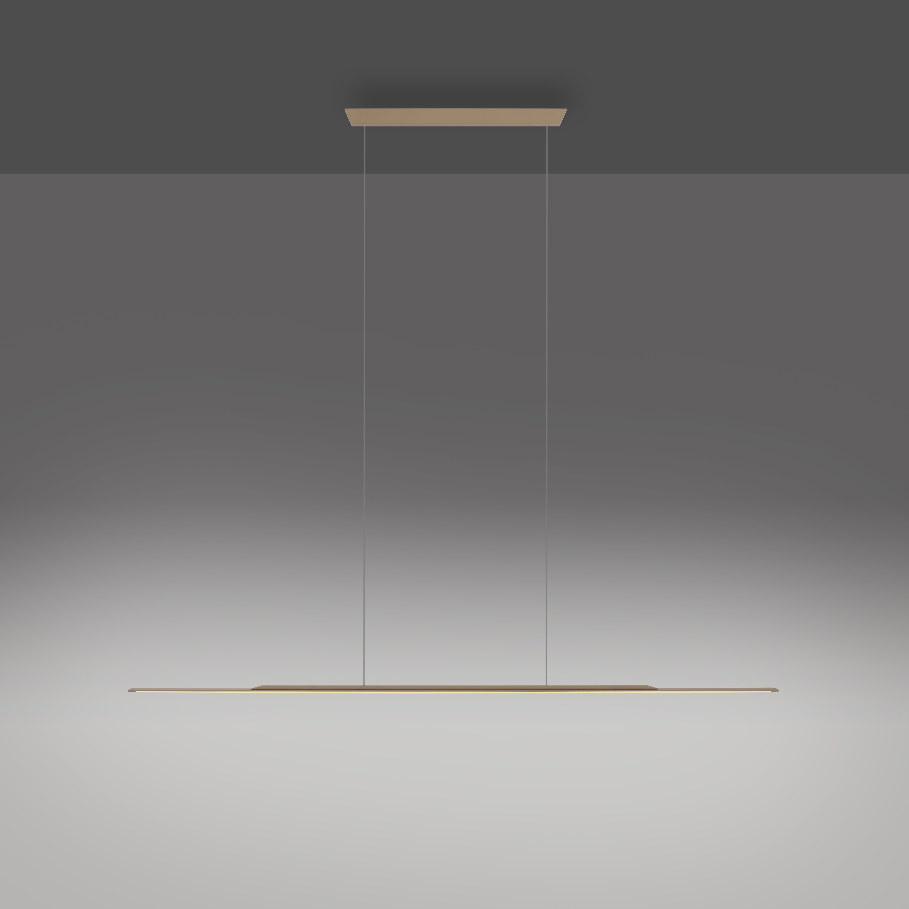 Pendelleuchte PURE SURFACE