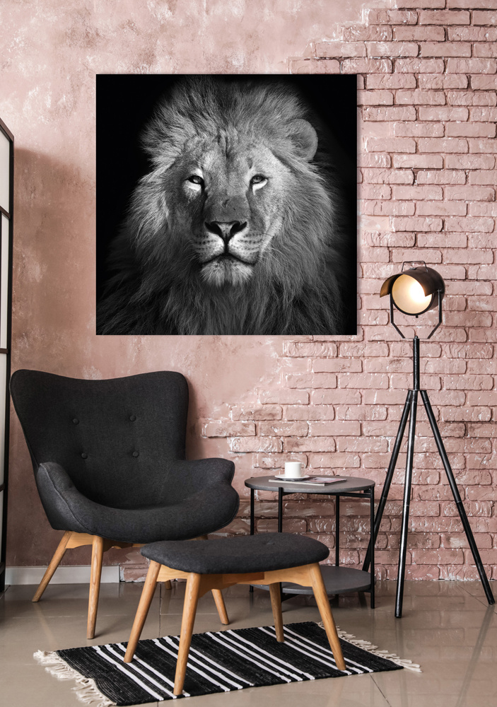 Akustikbild KÖNIG DER LÖWEN