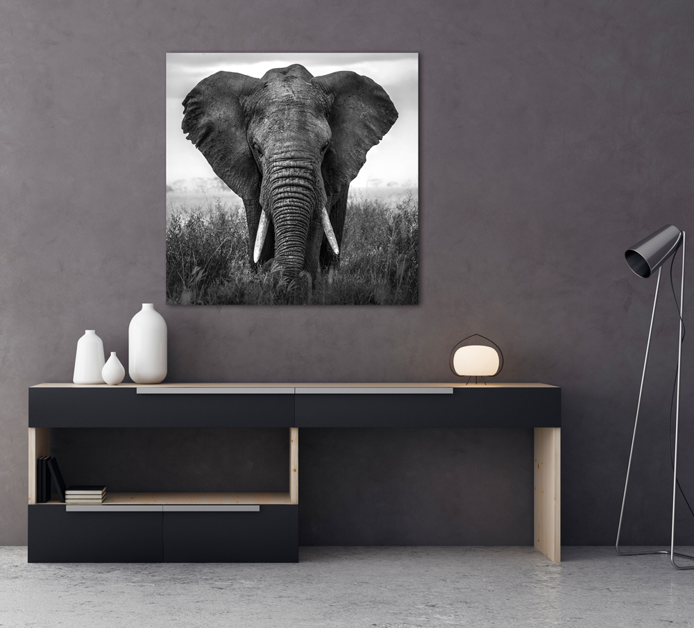 Akustikbild GROßER ELEFANT