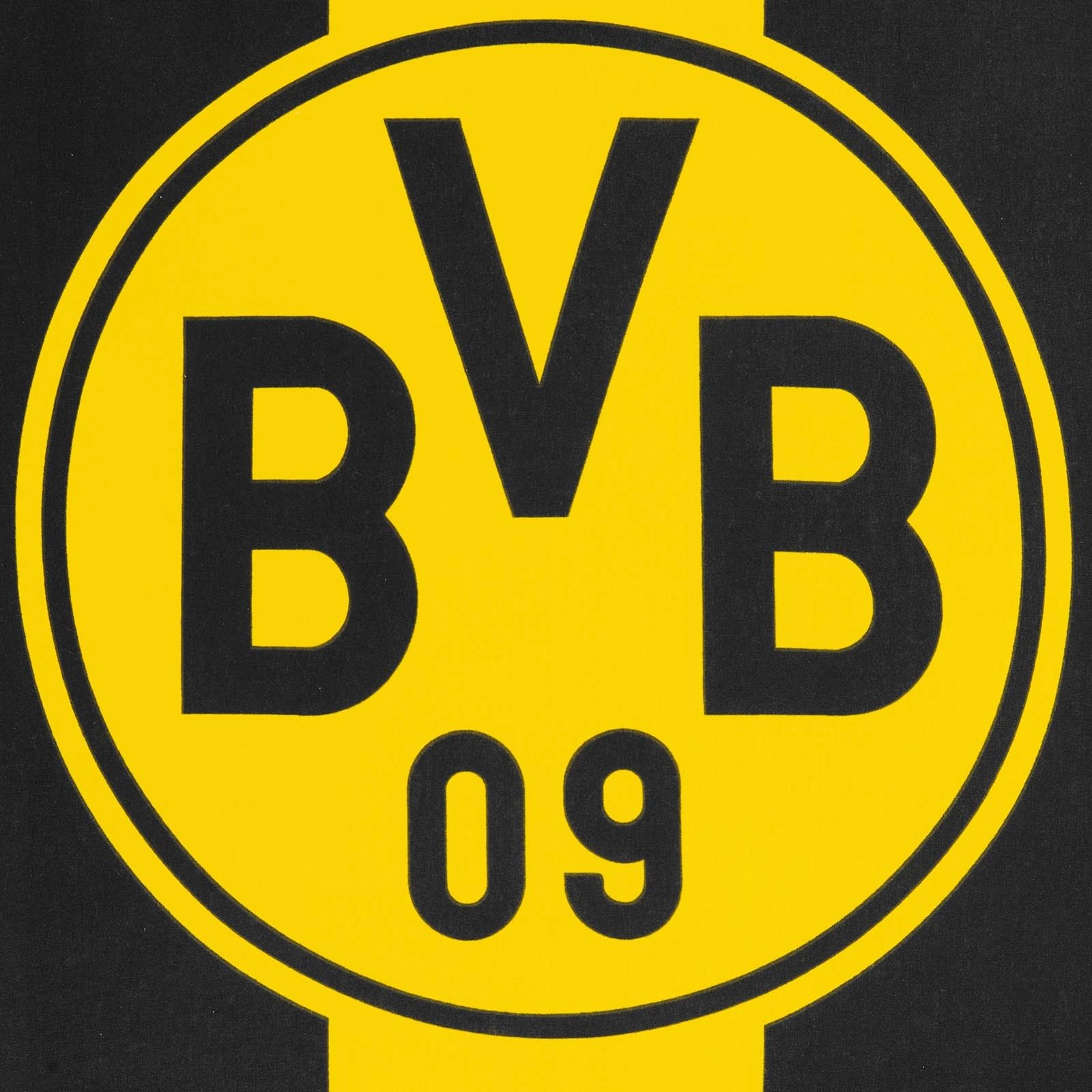 Bettwäsche BVB BLOCKSTREIFEN