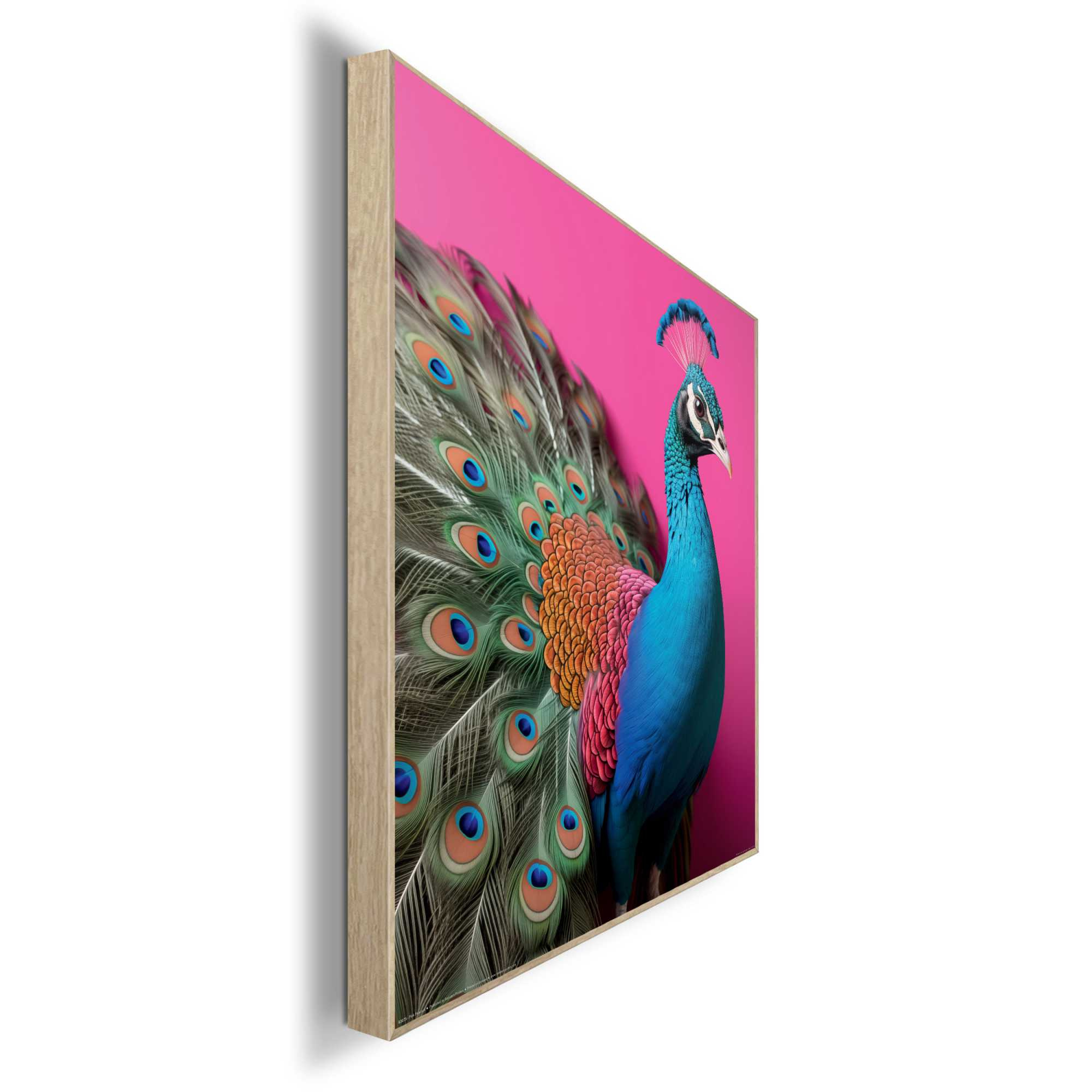 Bild PINK PEACOCK