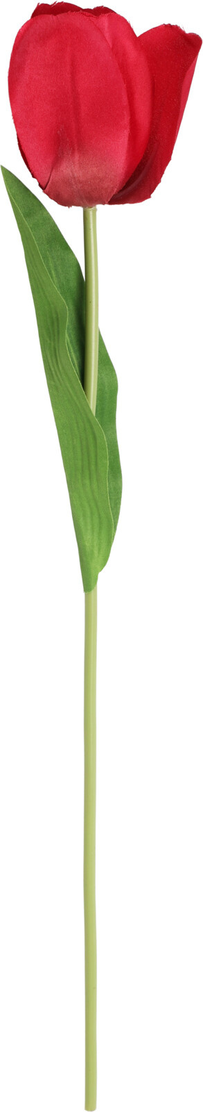 Kunstblume TULPE