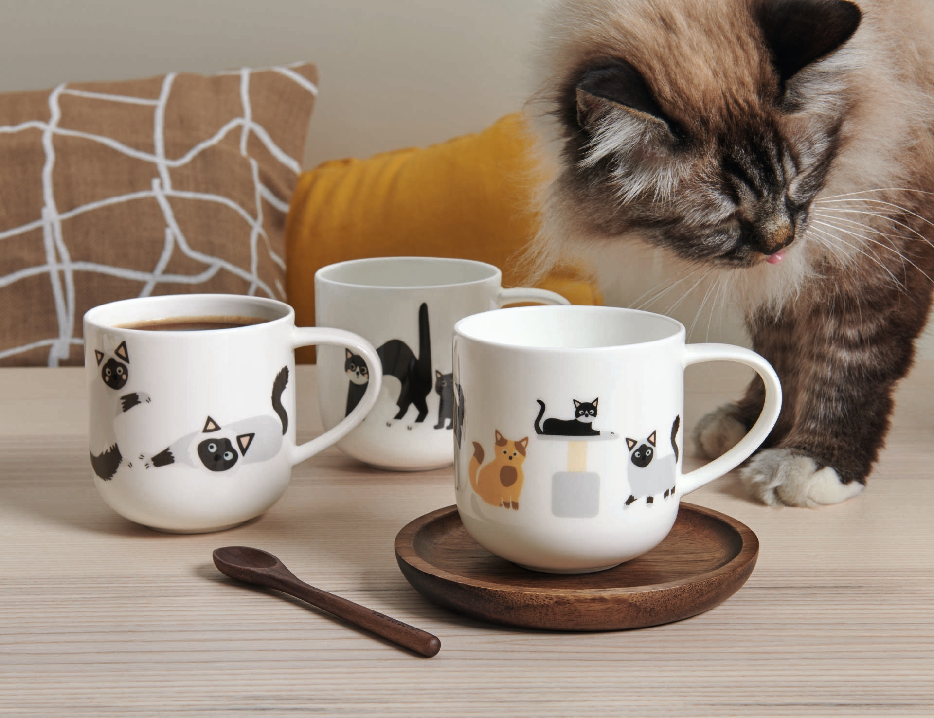 Henkelbecher COPPA Cats