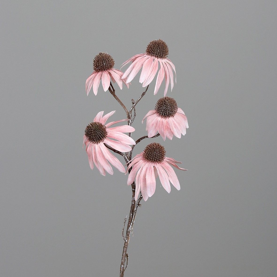 Kunstblume Sonnenhut