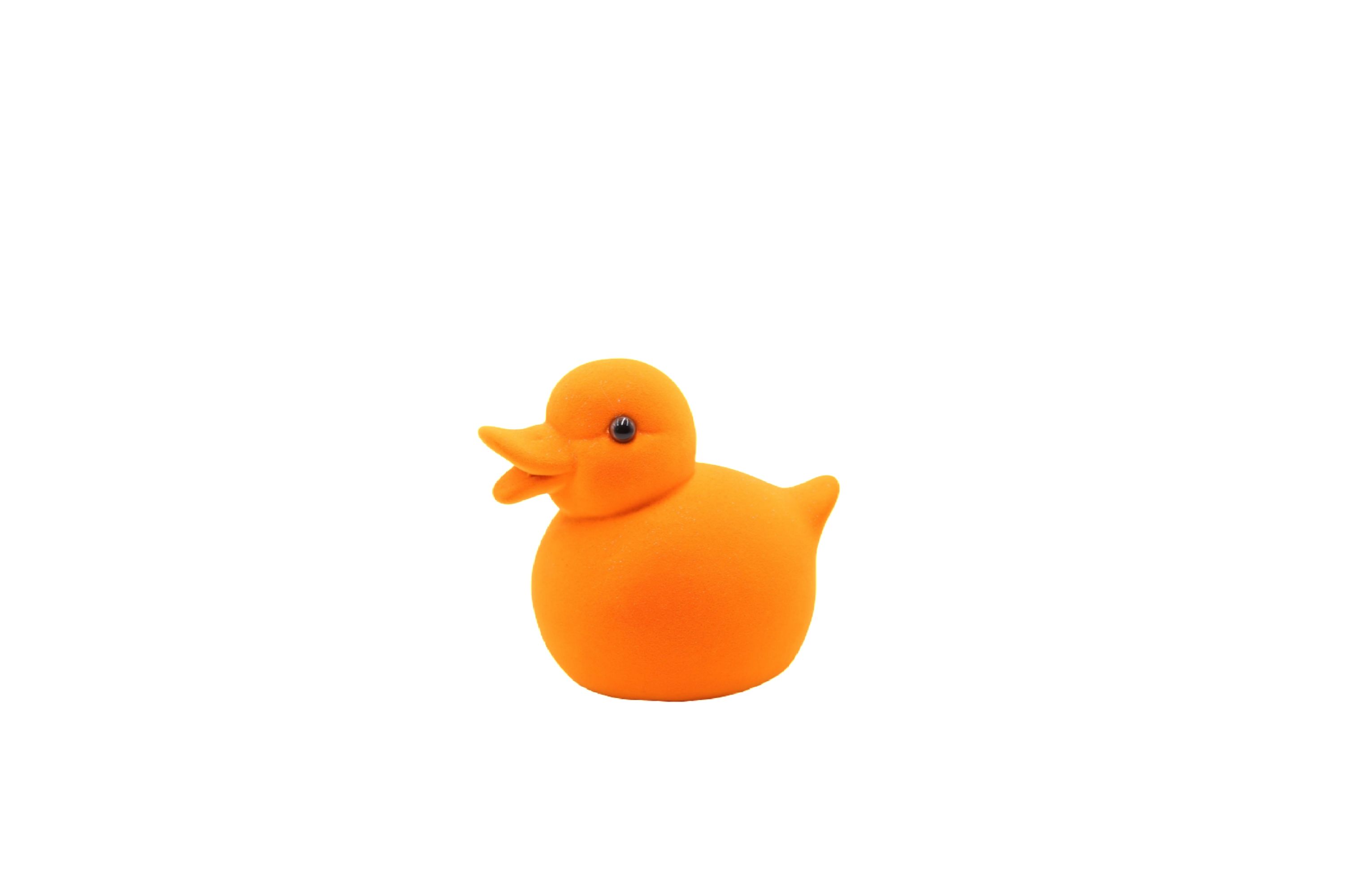 Entchen FLOCKY
