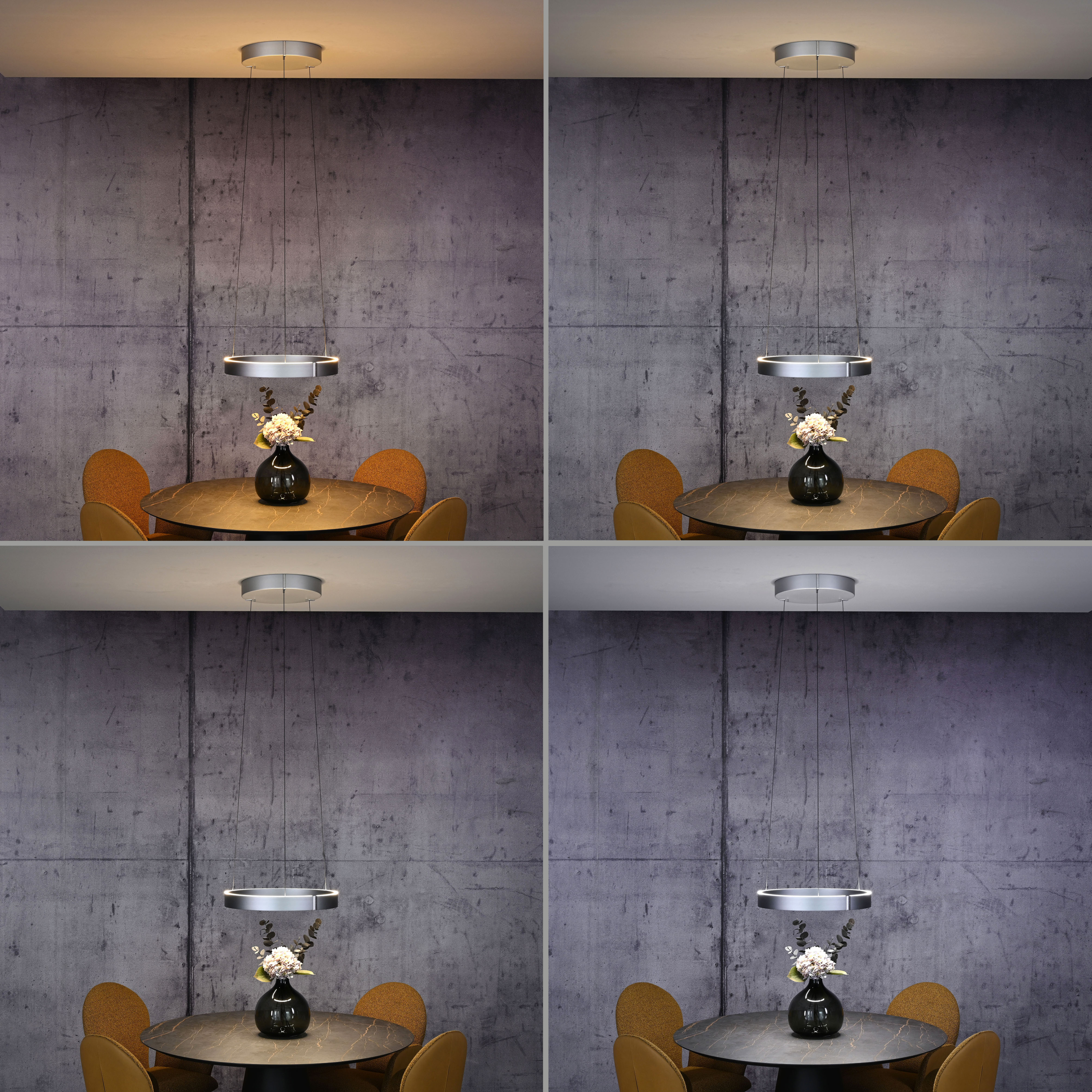 Pendelleuchte PURE E-CLIPSE