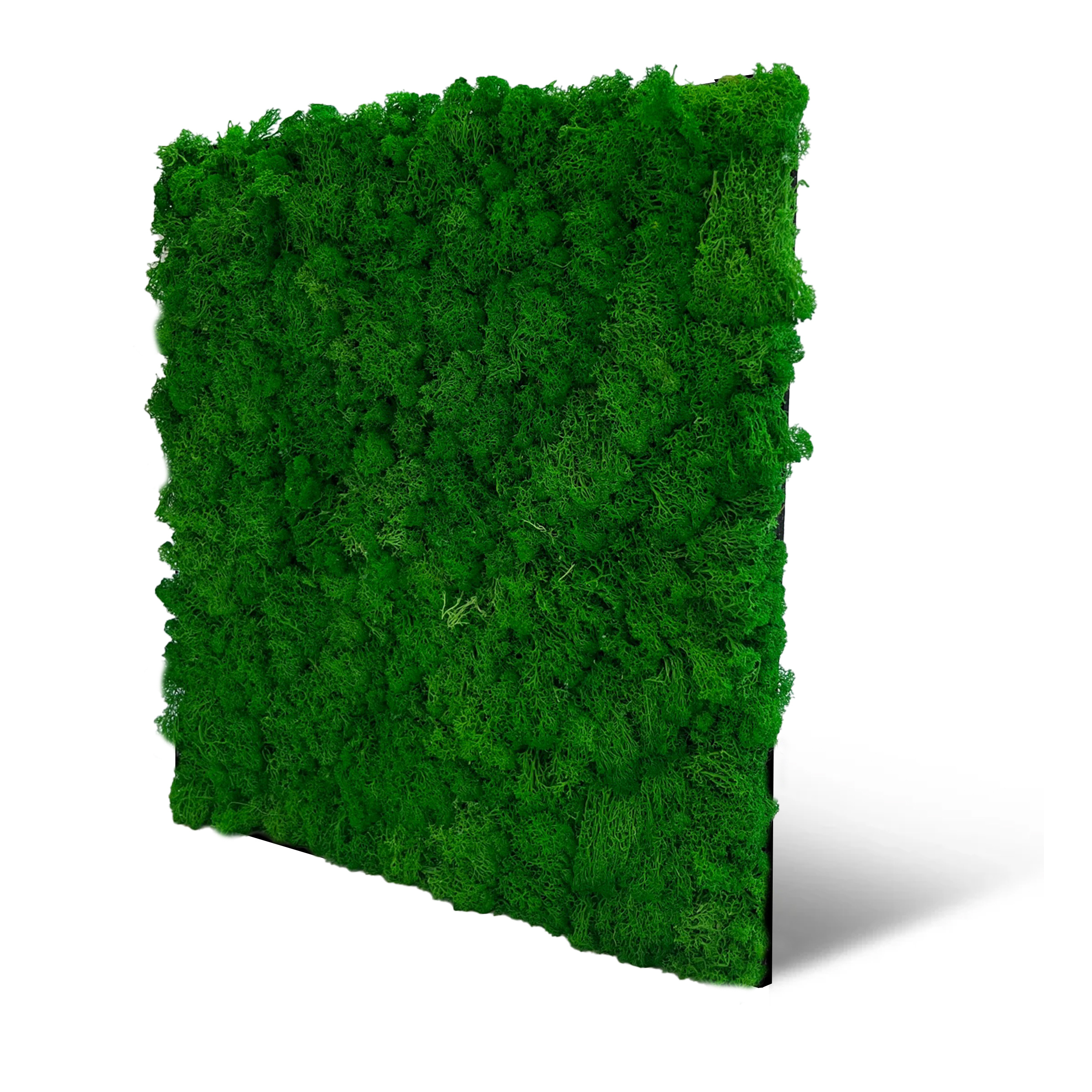 Wandpaneel MODULAR WALL