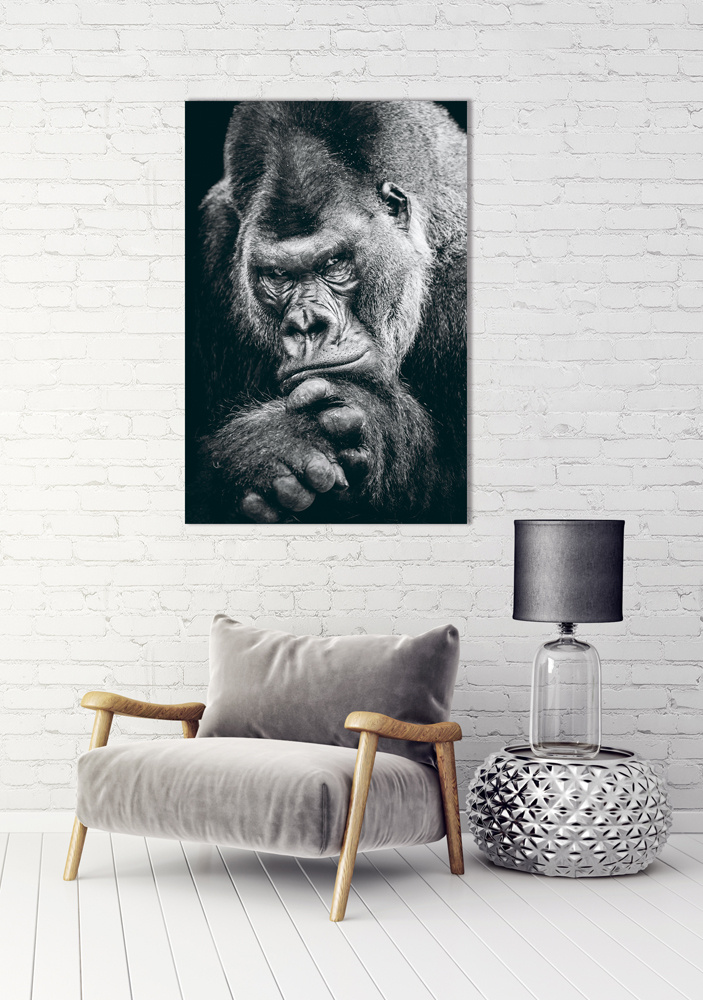 Akustikbild IMPOSANTER GORILLA