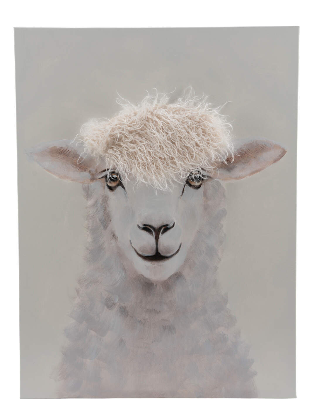 Keilrahmenbild Schaf