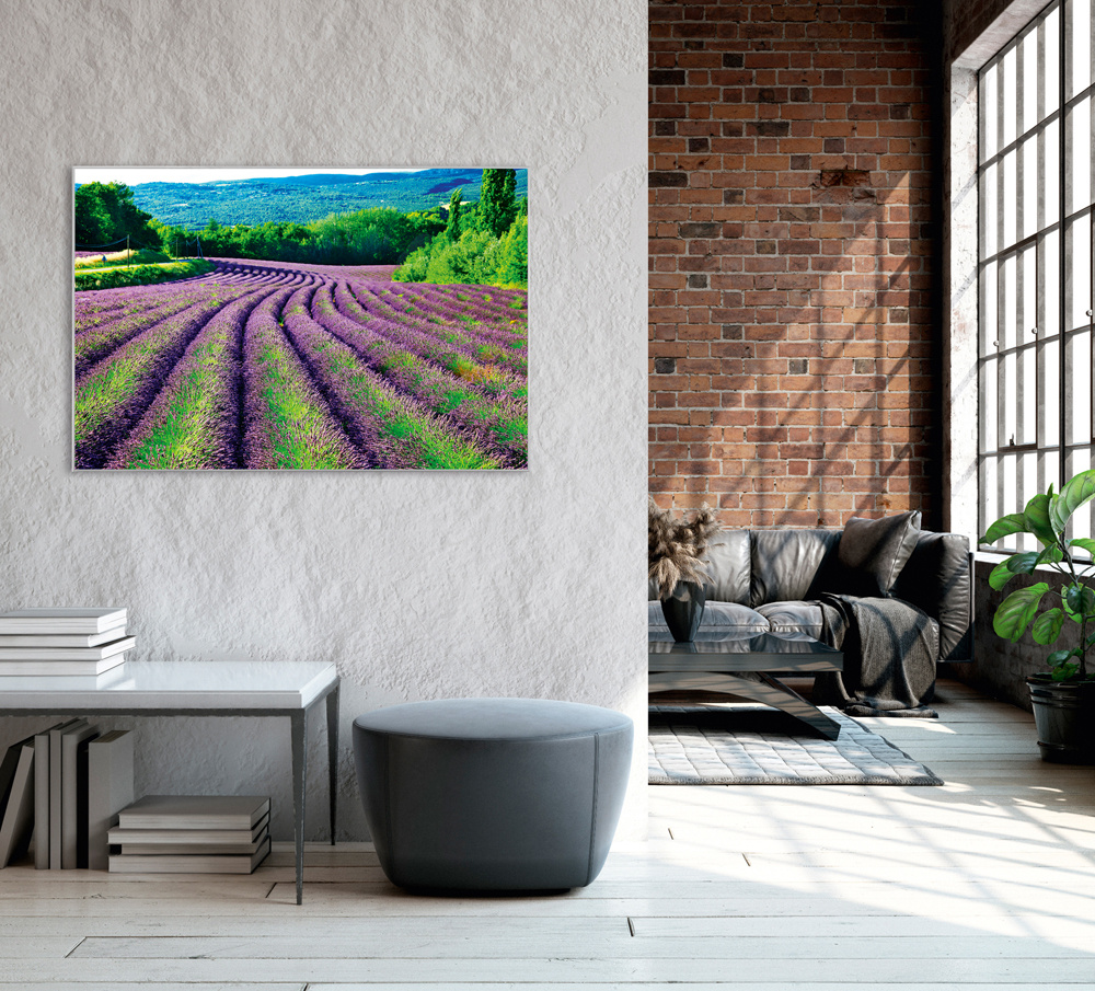 Akustikbild LAVENDELFELD 1
