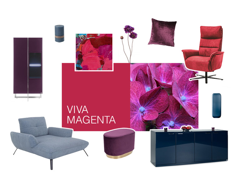 Farbwelt Viva Magenta - Arrangement von Möbeln und Accessoires in Farbtönen von Pink bis Blau - Foto einer pinkfarbenen Hortensie