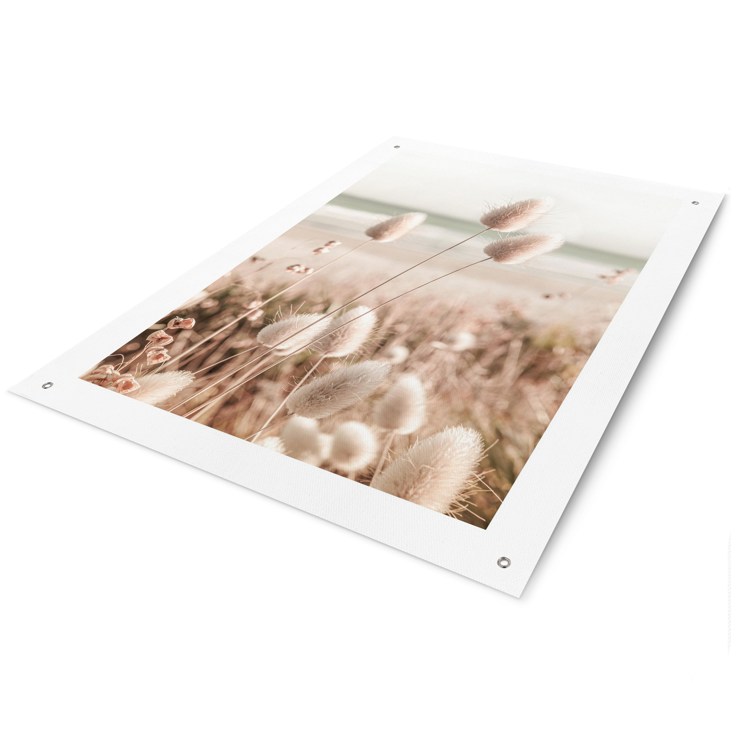 Outdoor Poster GRASSES