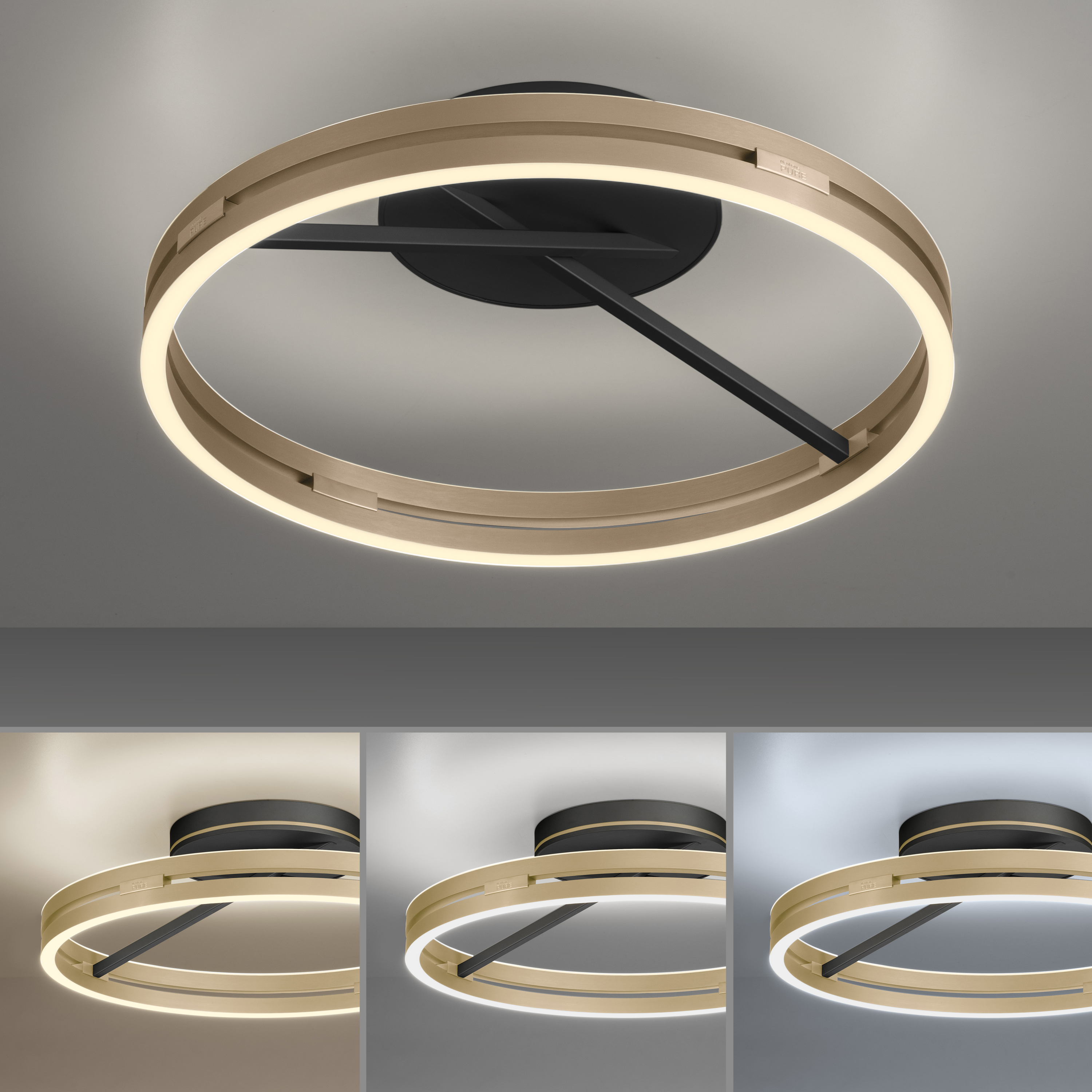 Deckenleuchte PURE LOOP