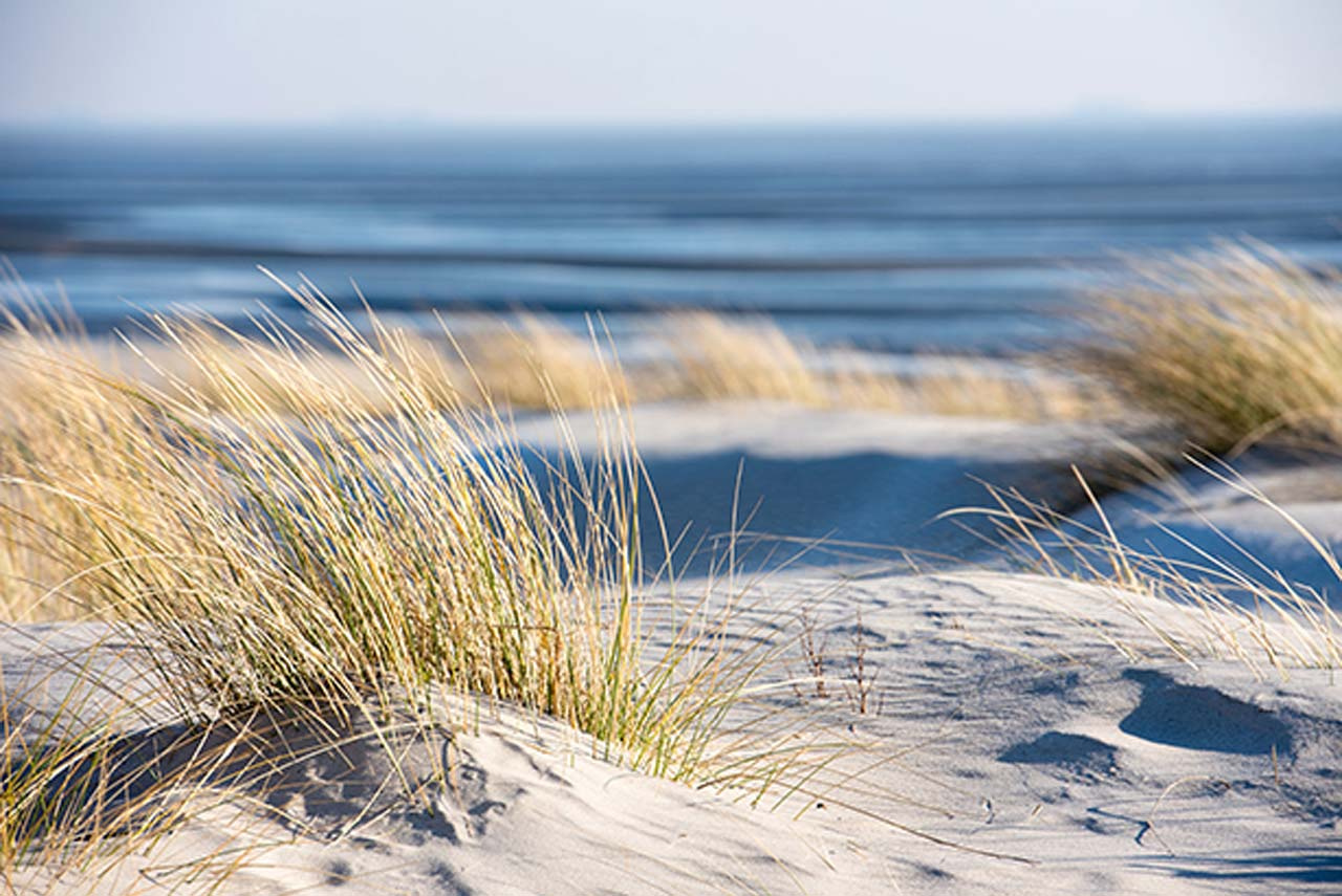 Akustikbild THE BEACH