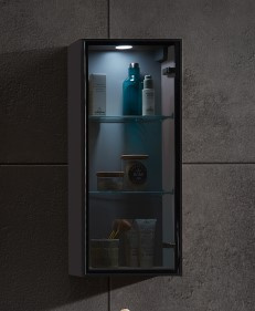 Vitrinenschrank Aquarell BERN