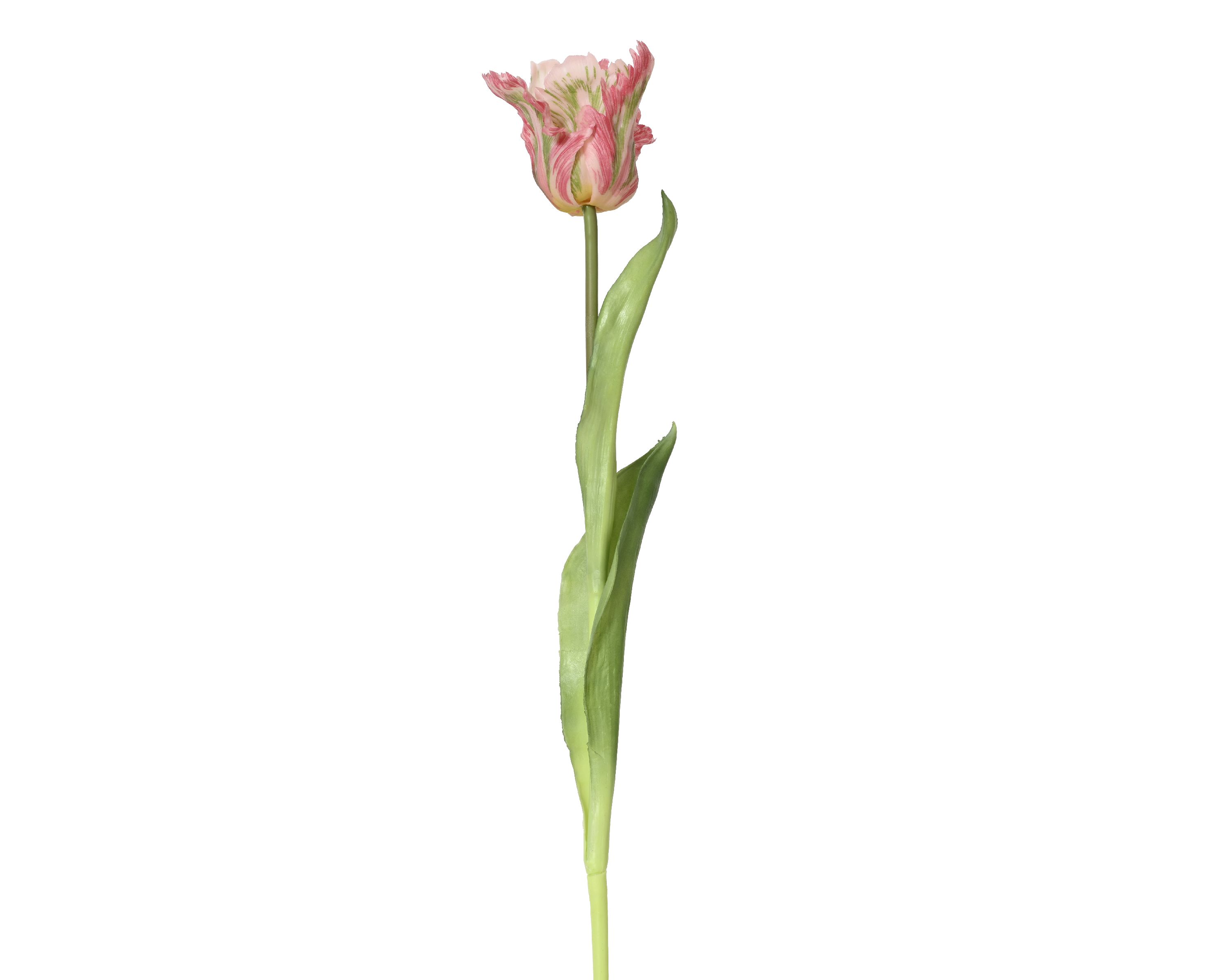 Kunstblume Tulpe