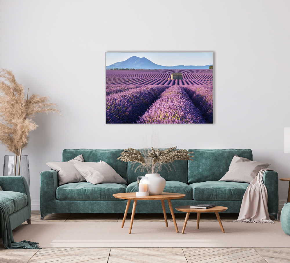 Akustikbild LAVENDELFELD 8