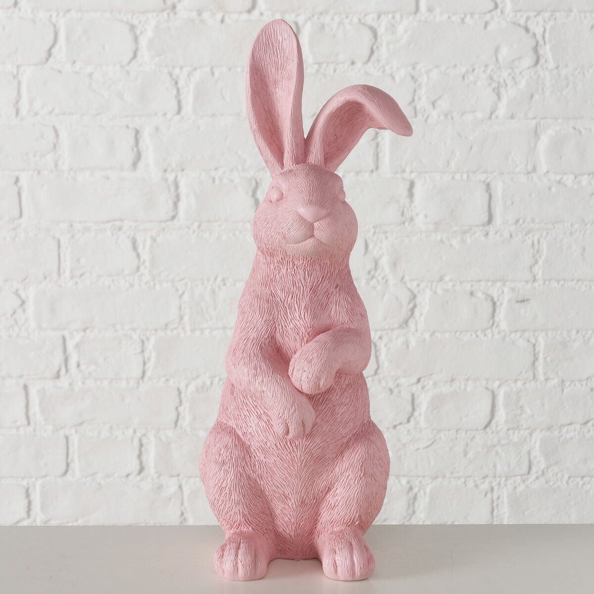 Hase BENGT