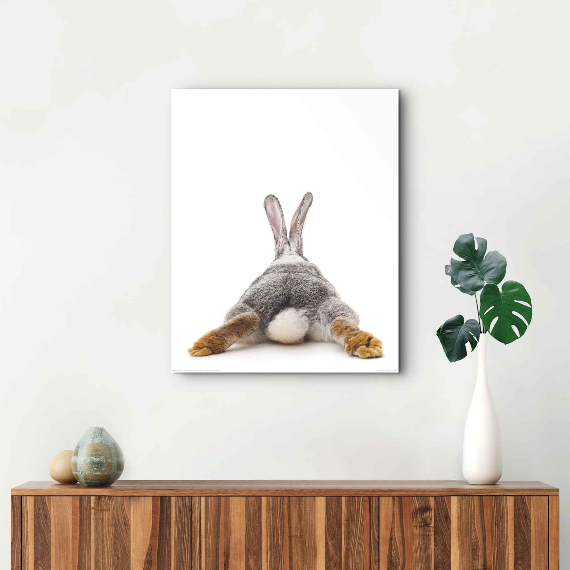 Bild BUNNIES BACK