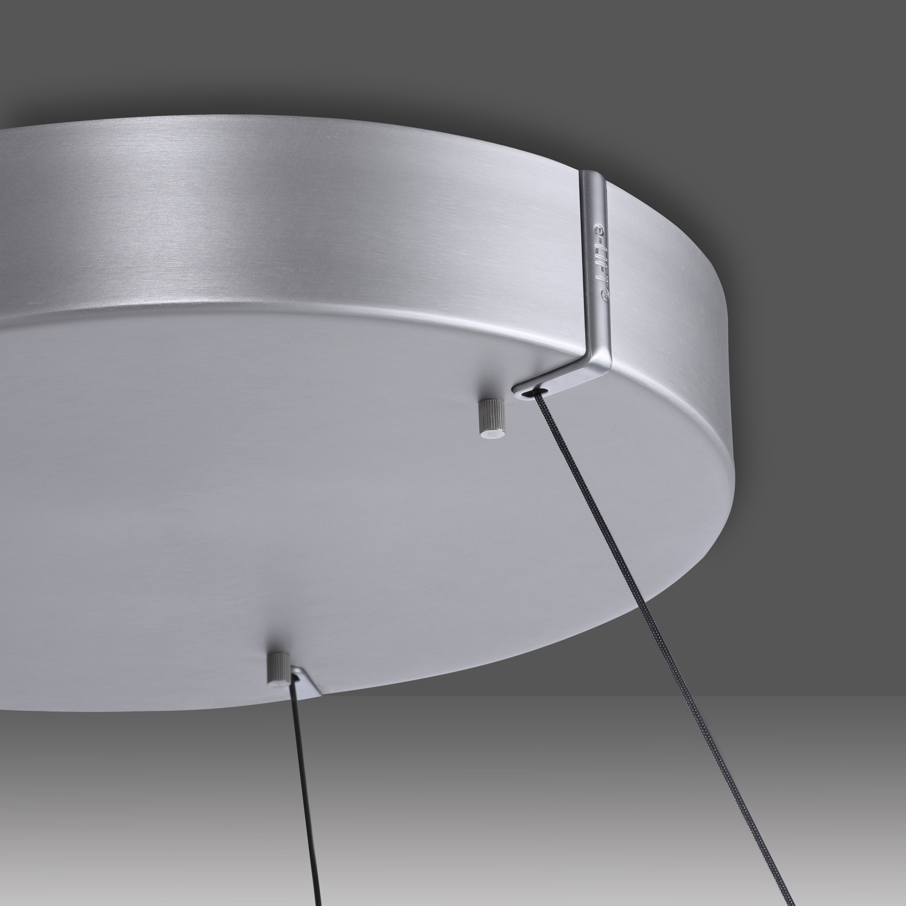 Pendelleuchte PURE E-LOOP