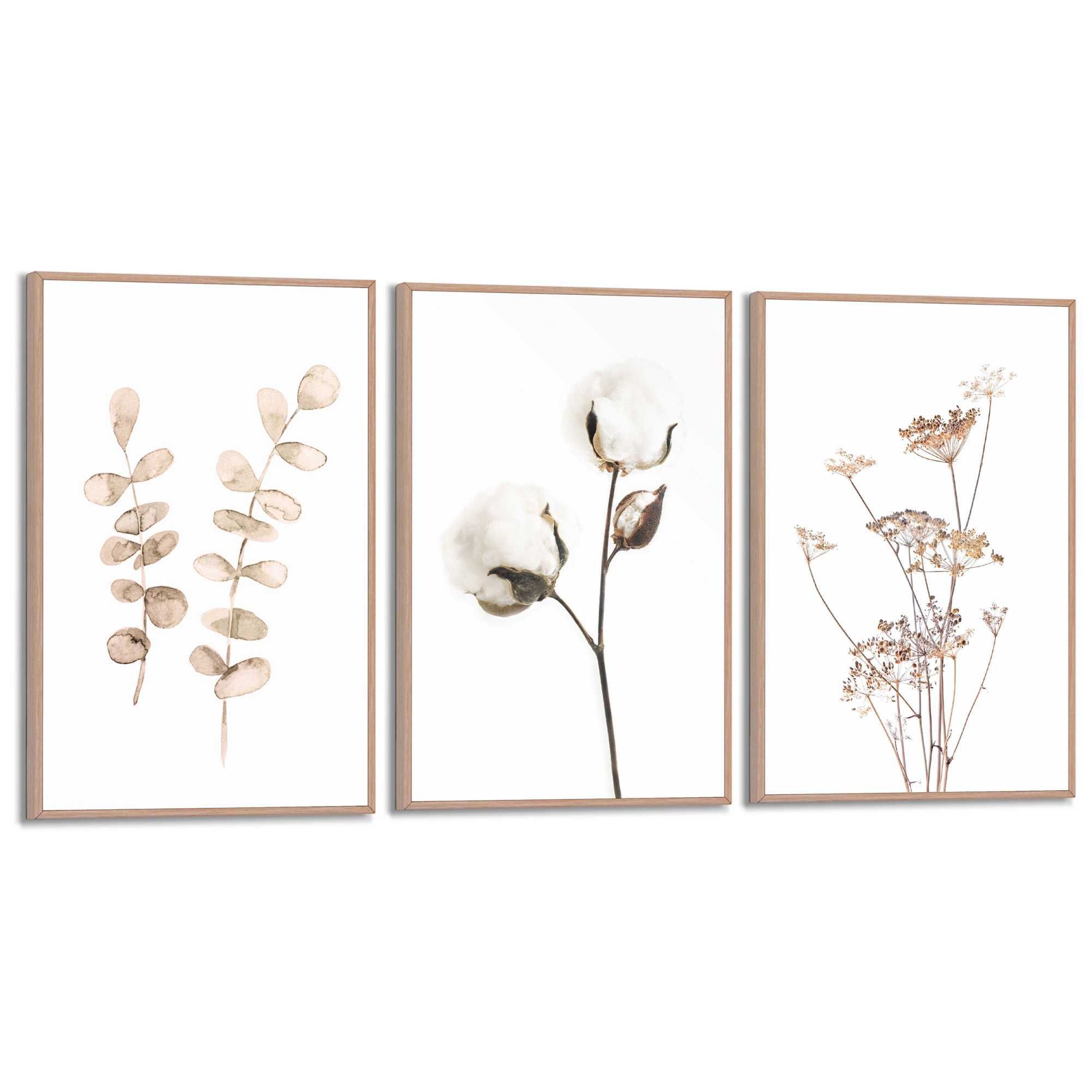 Bilder-Set BOTANIC NATURAL