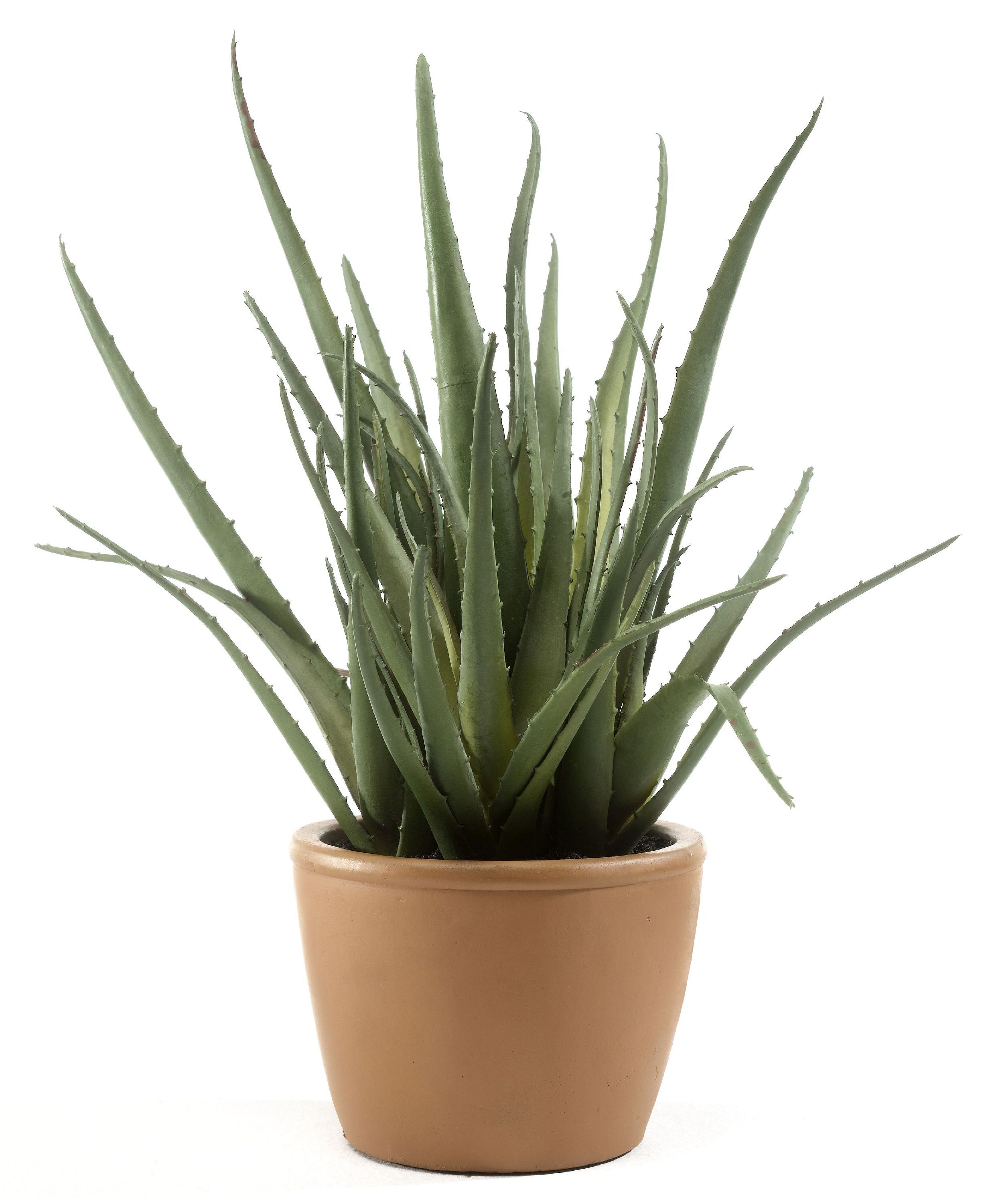 Kunstpflanze Aloe Vera