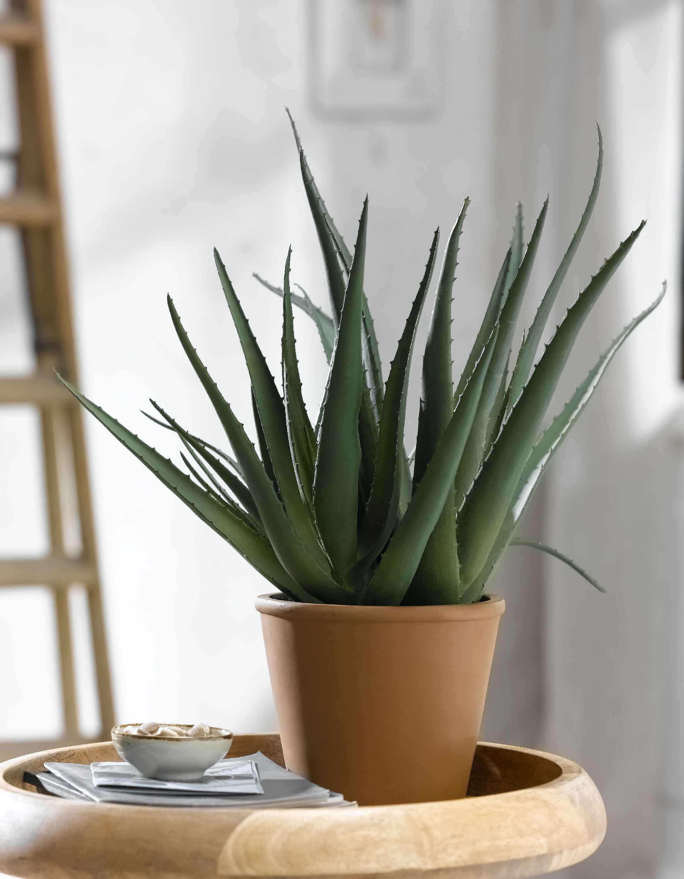 Kunstpflanze Aloe Vera