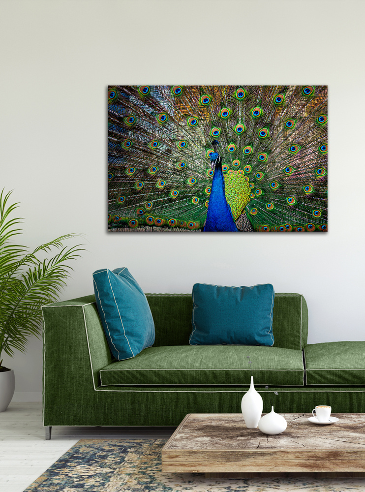 Akustikbild STOLZER PFAU