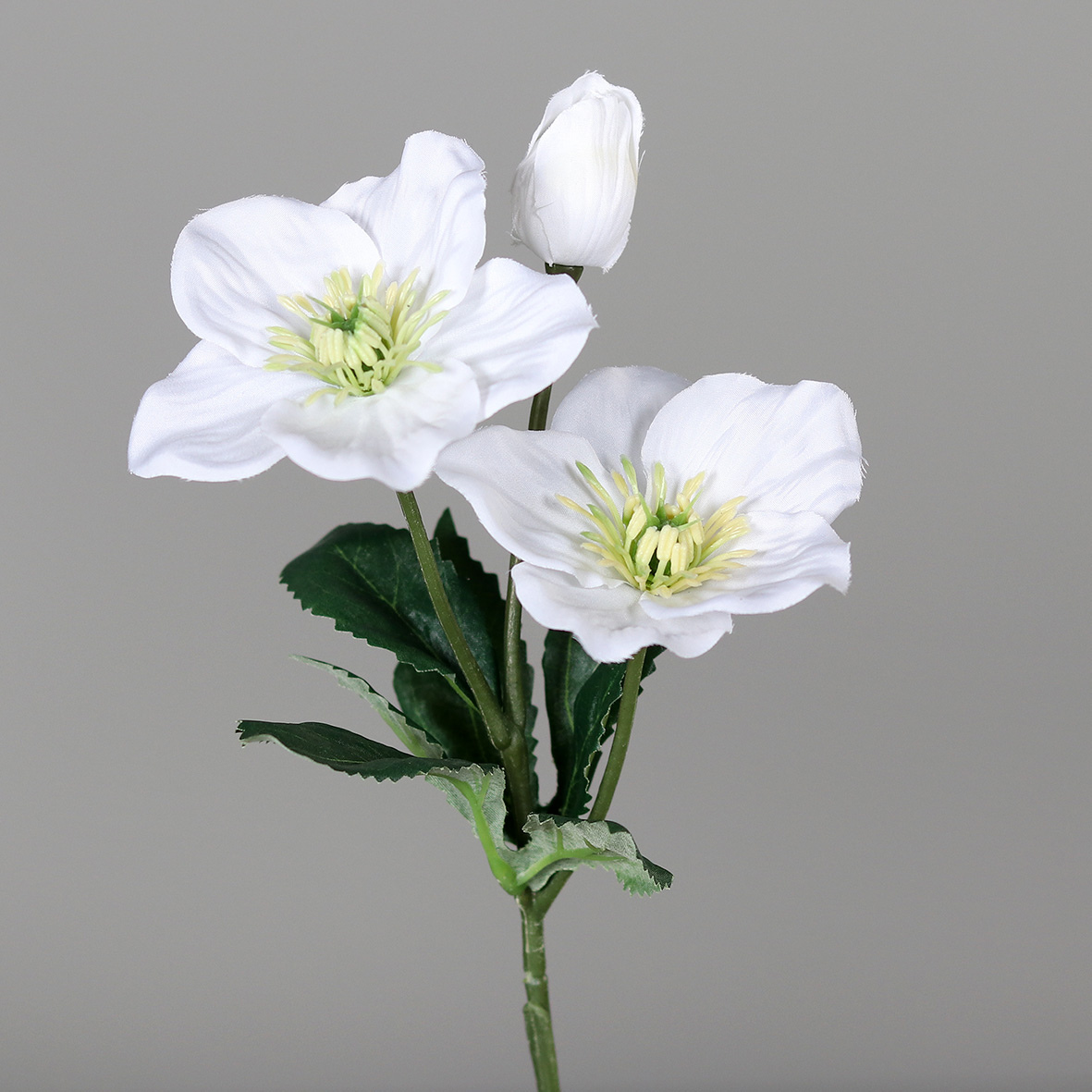 Kunstblume HELEBORUS