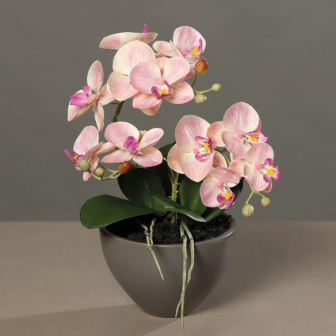 Kunstblume Orchidee