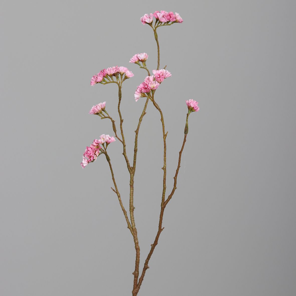 Kunstblume Statice