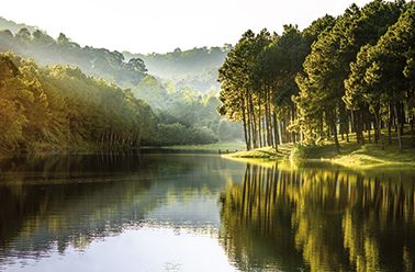 Bild WALD & SEE P