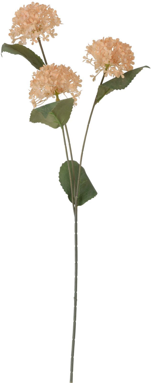 Kunstblume Zweig