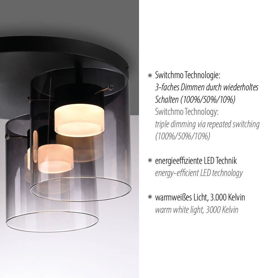 Deckenleuchte ELIO LED
