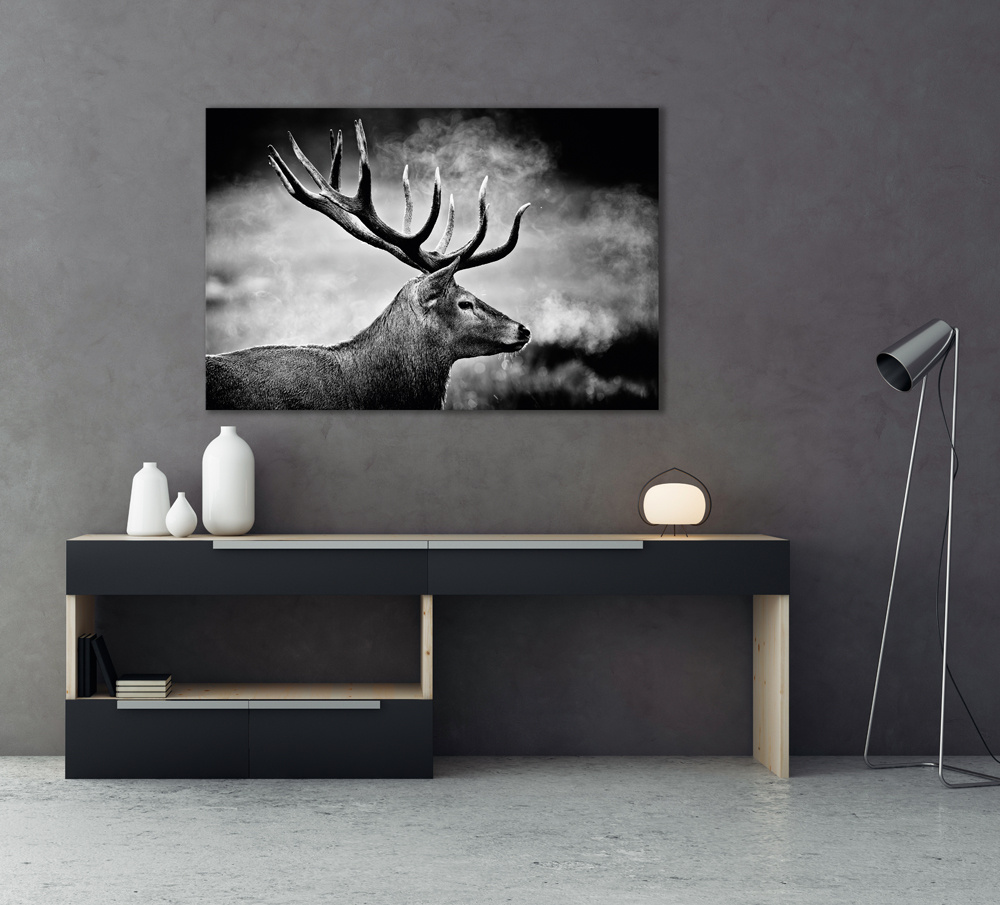 Akustikbild HIRSCH