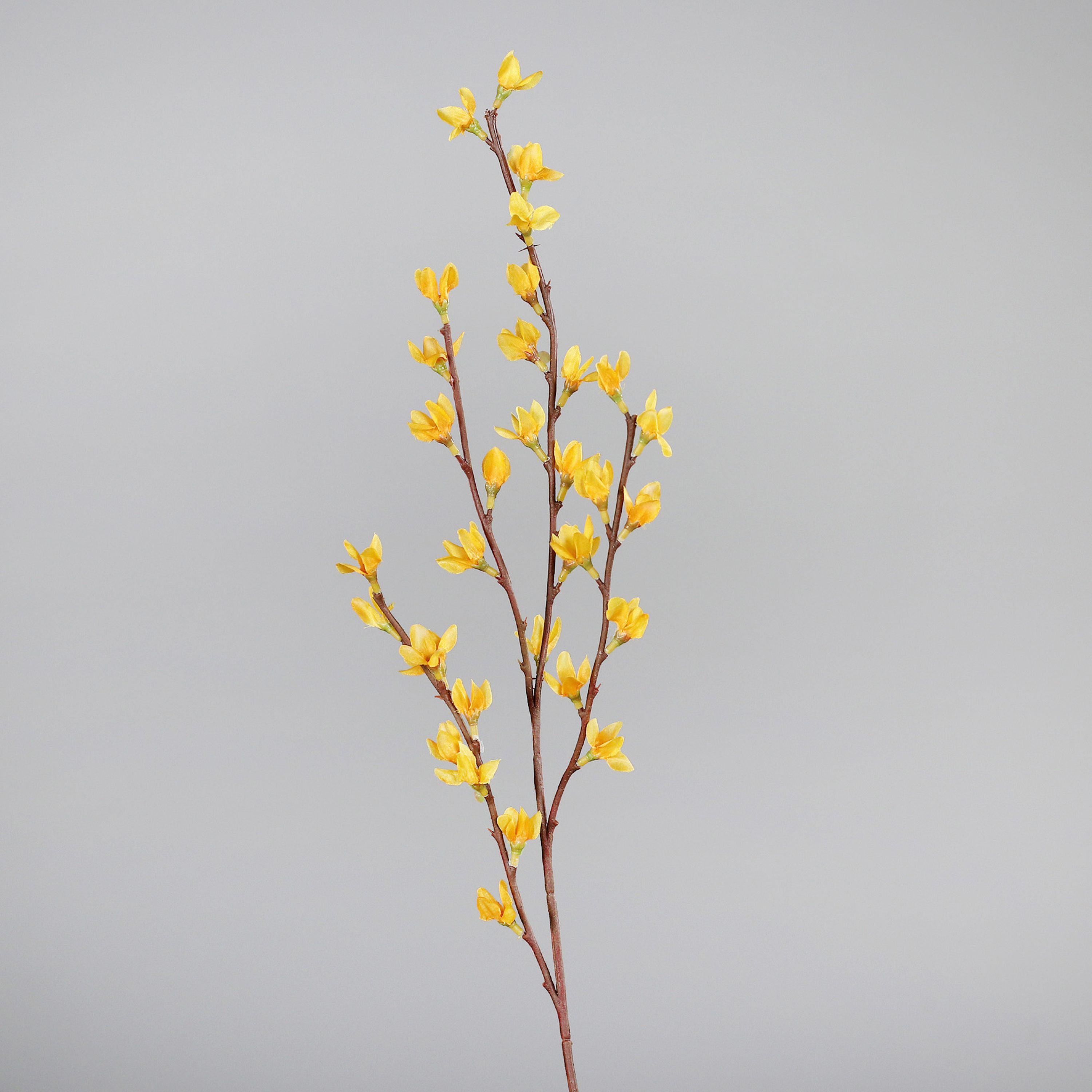 Kunstblume Forsythie