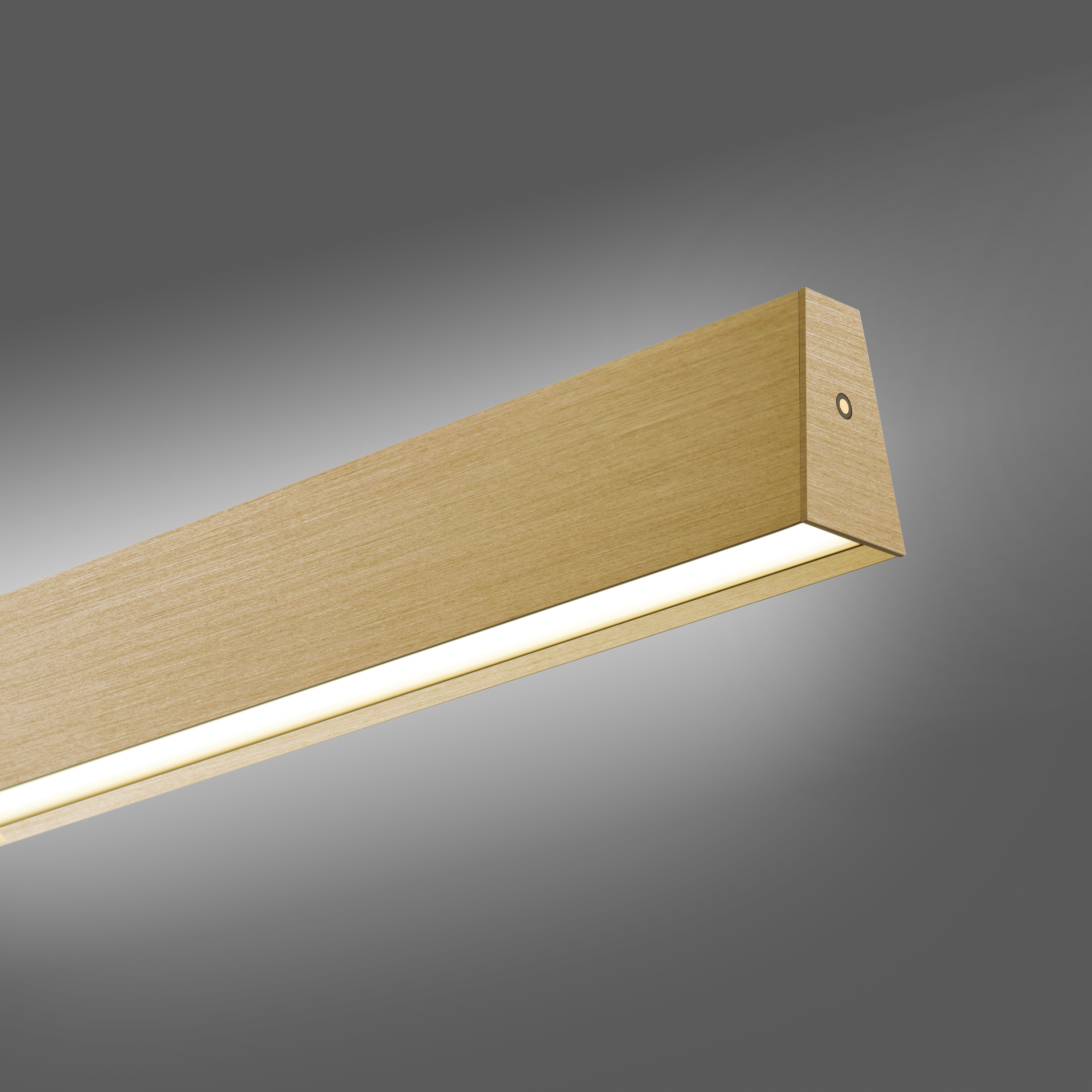 Pendelleuchte PURE E-MOTION