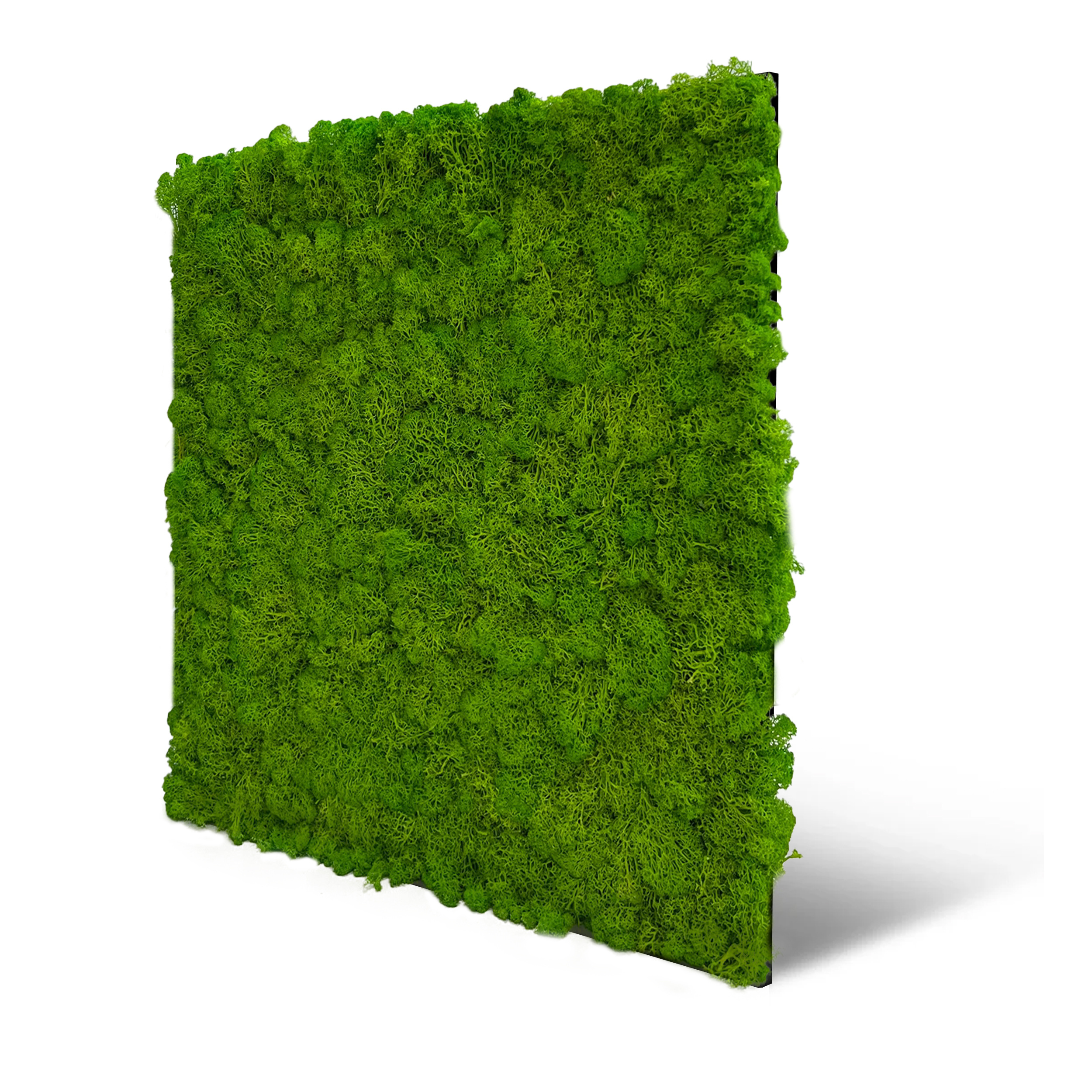 Wandpaneel MODULAR WALL