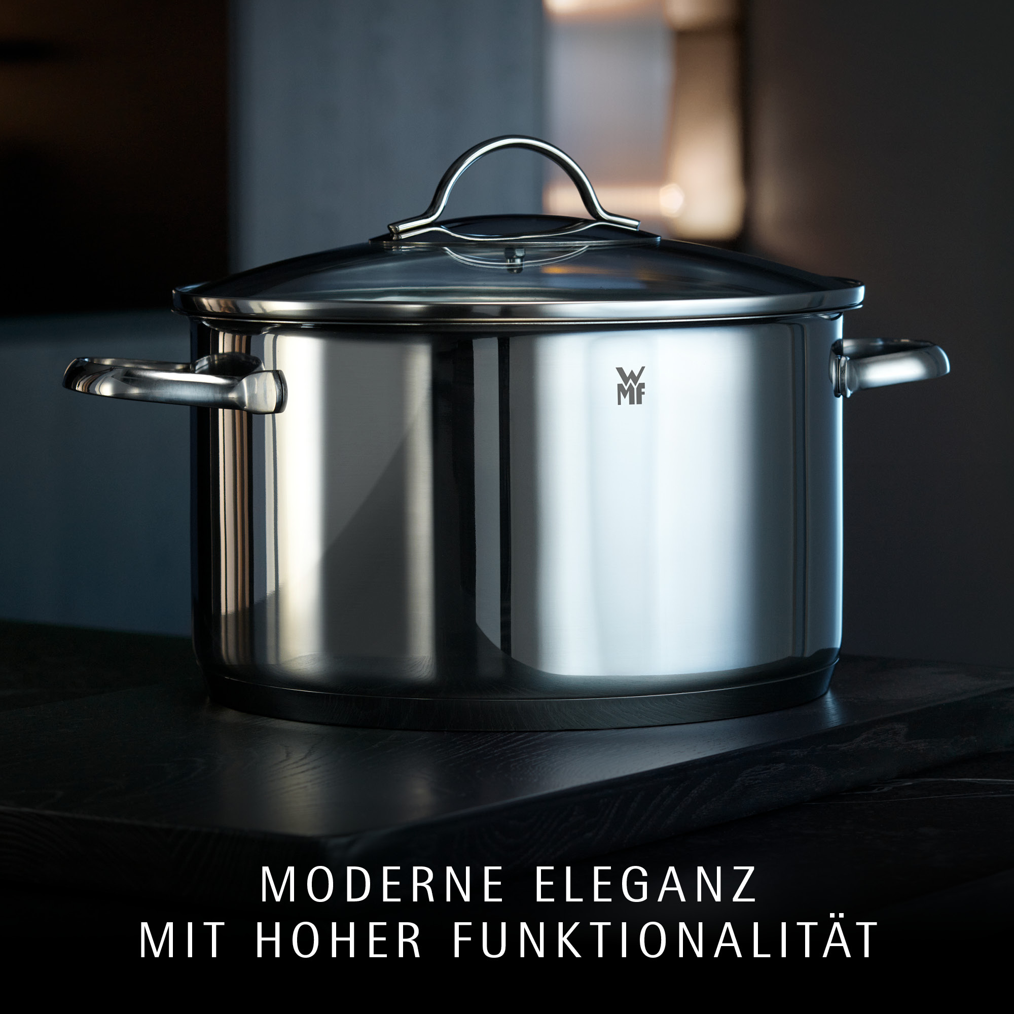 Fleischtopf WMF PROVENCE PLUS