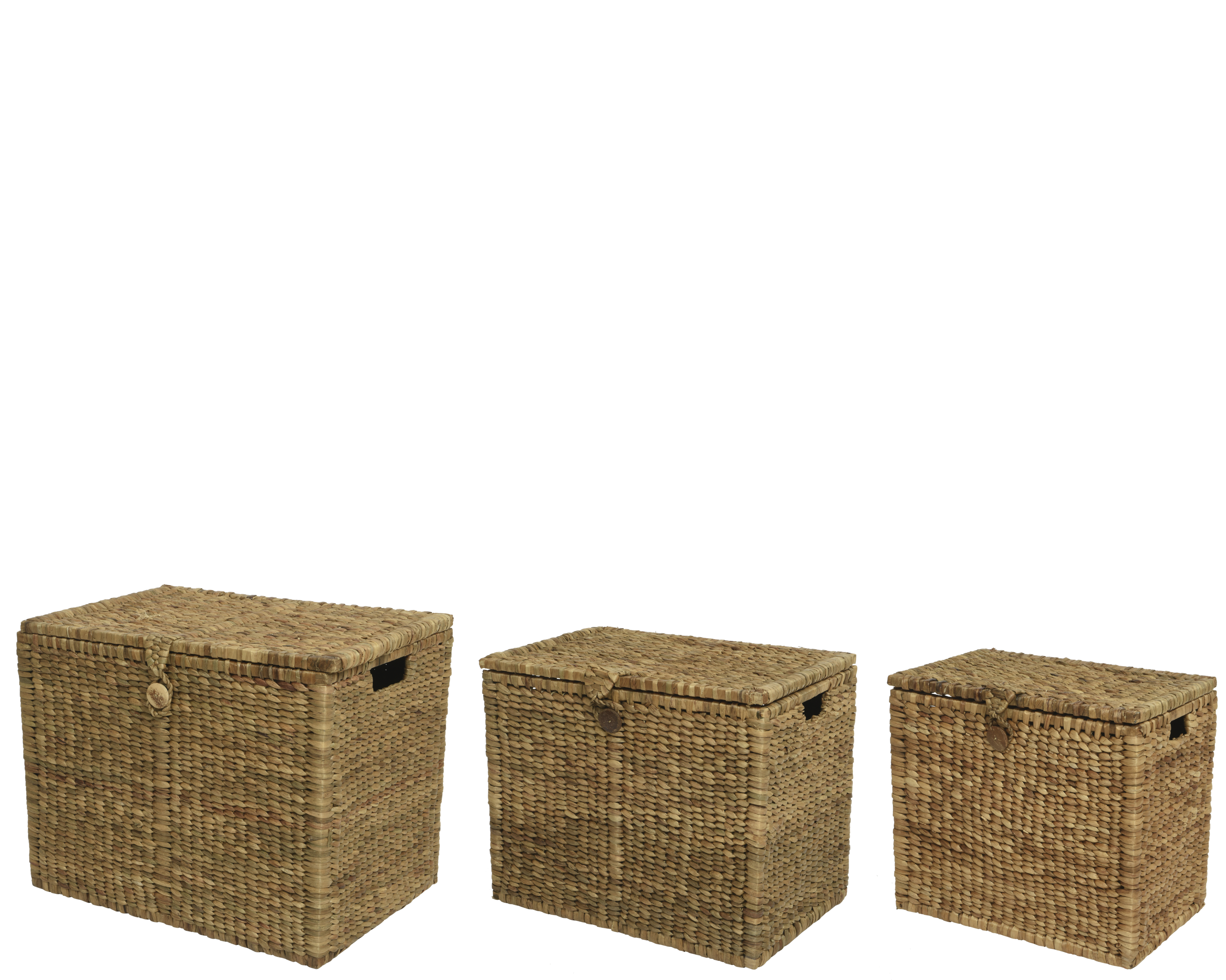 Box ADVENTURE mittel