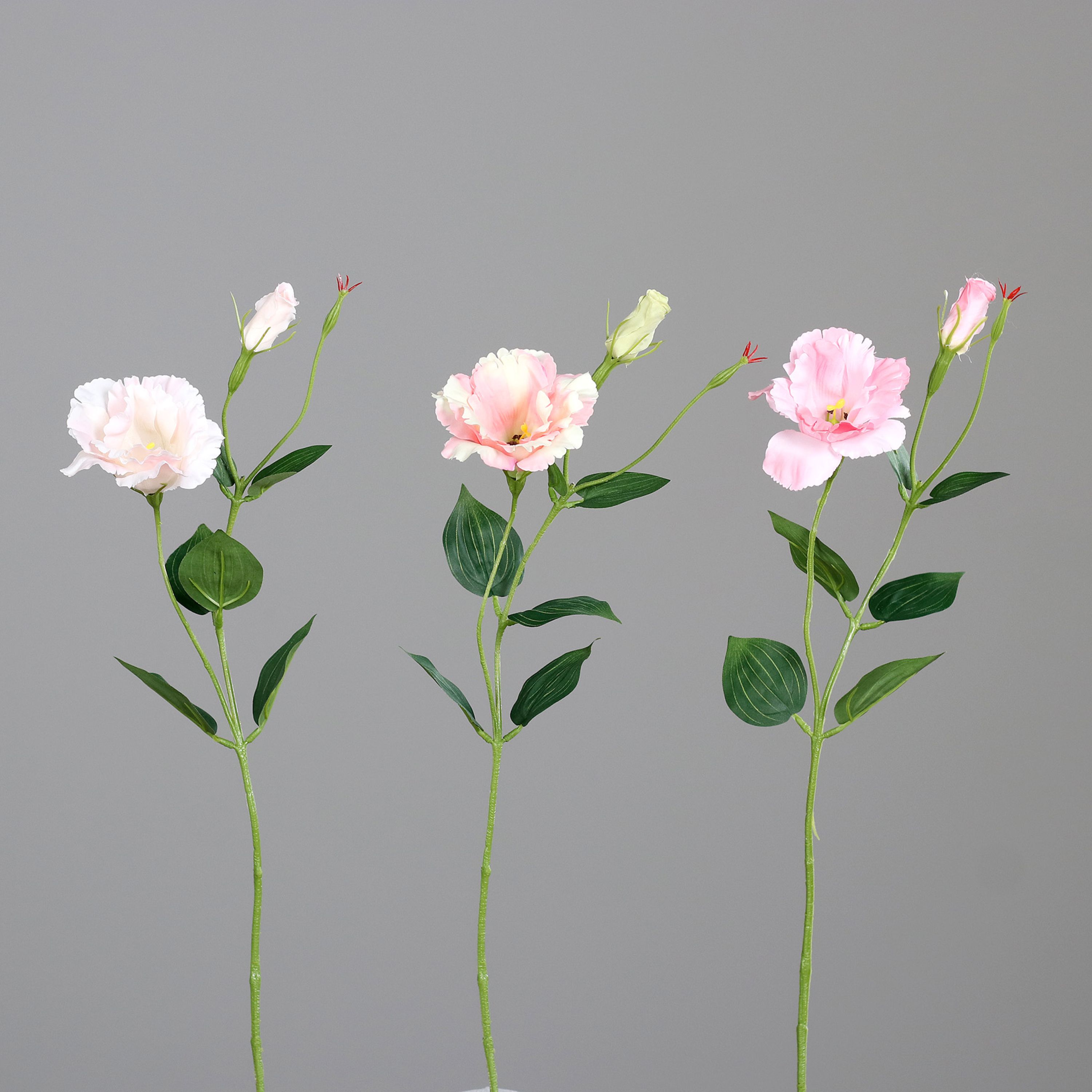 Kunstblume Lisianthus