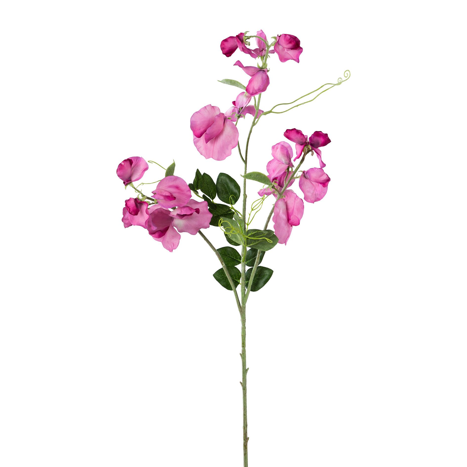 Kunstpblume Wickenzweig