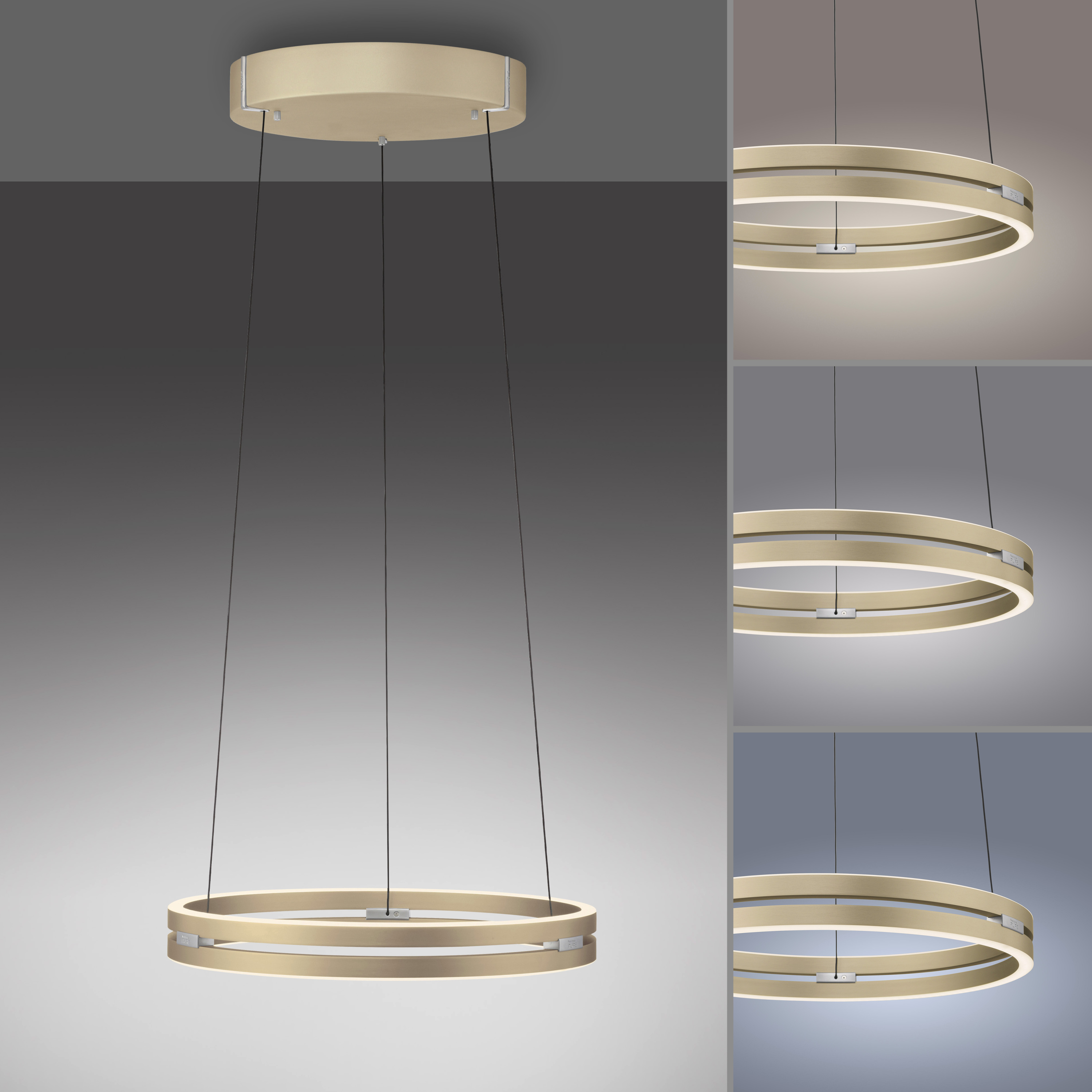 Pendelleuchte PURE E-LOOP