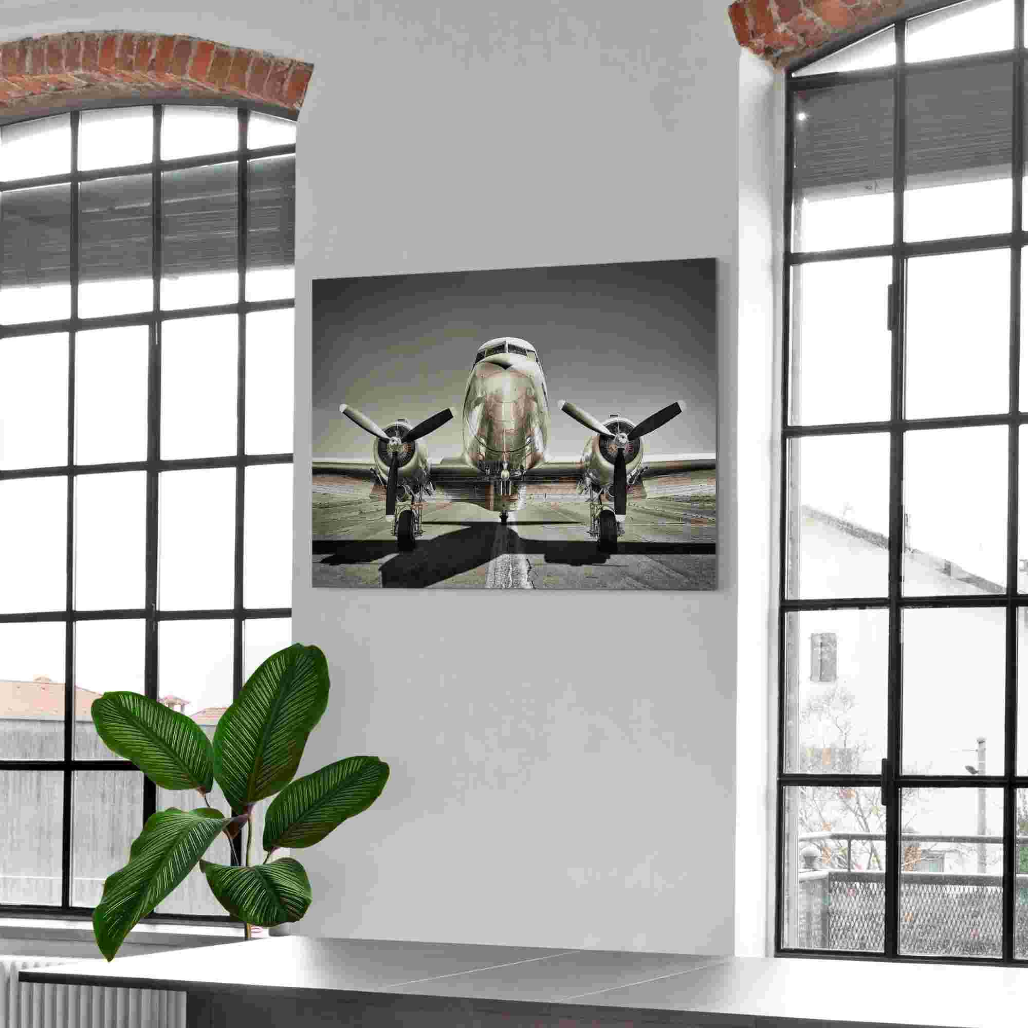 Bild VINTAGE PLANE
