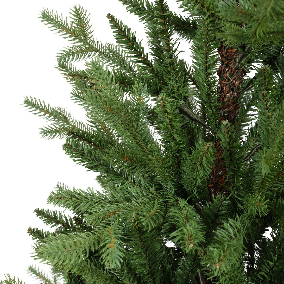 Tannenbaum