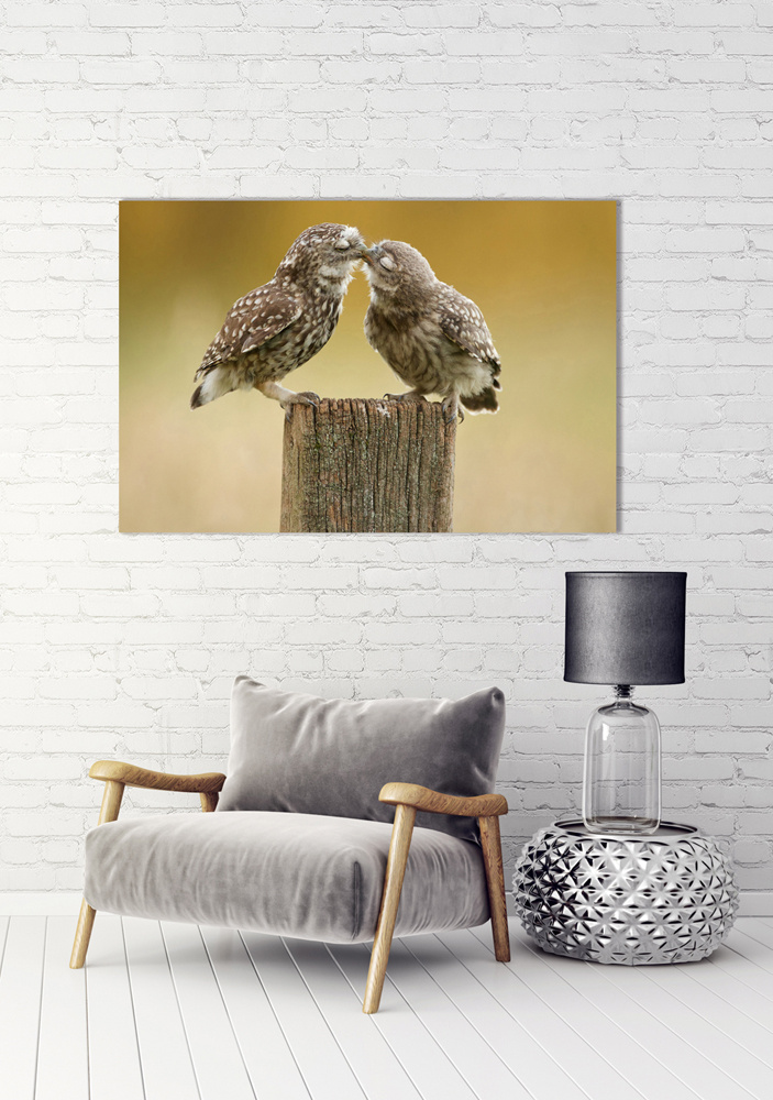 Akustikbild VERLIEBTE KÄUZCHEN