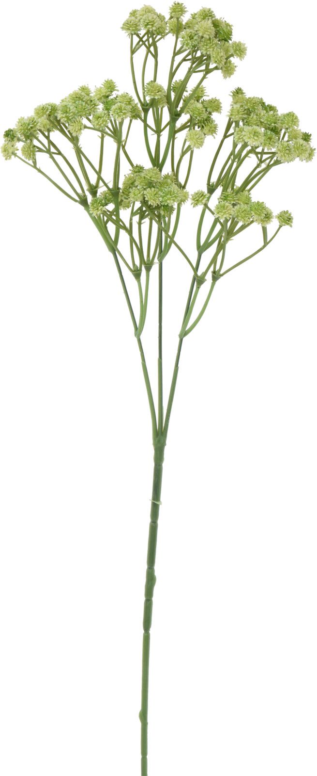 Kunstblume Zweig